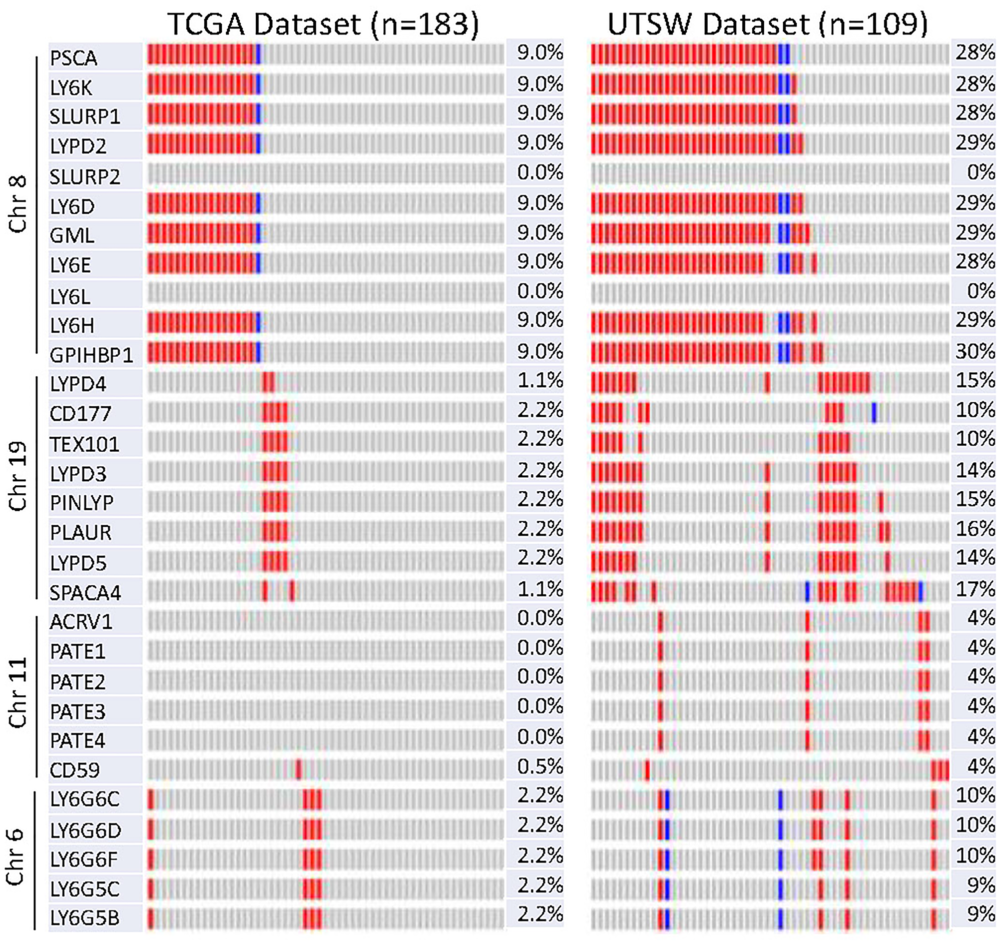 Oncoprint of copy number variation of 30 LY6 genes in TCGA and UTSW dataset using cBioPortal