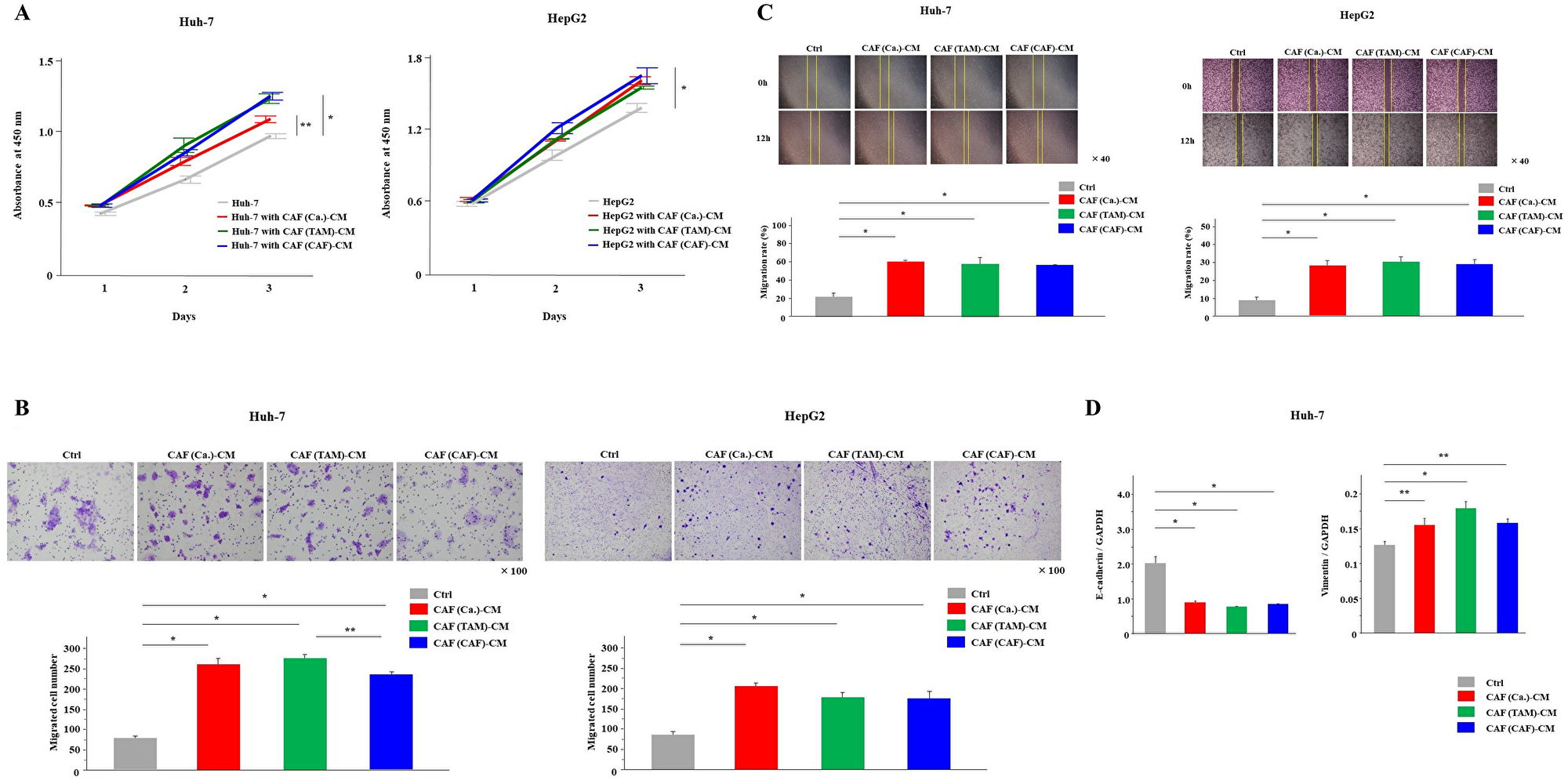 All CAFs derived from cancer cells, TAMs and CAFs enhanced cancer malignancy