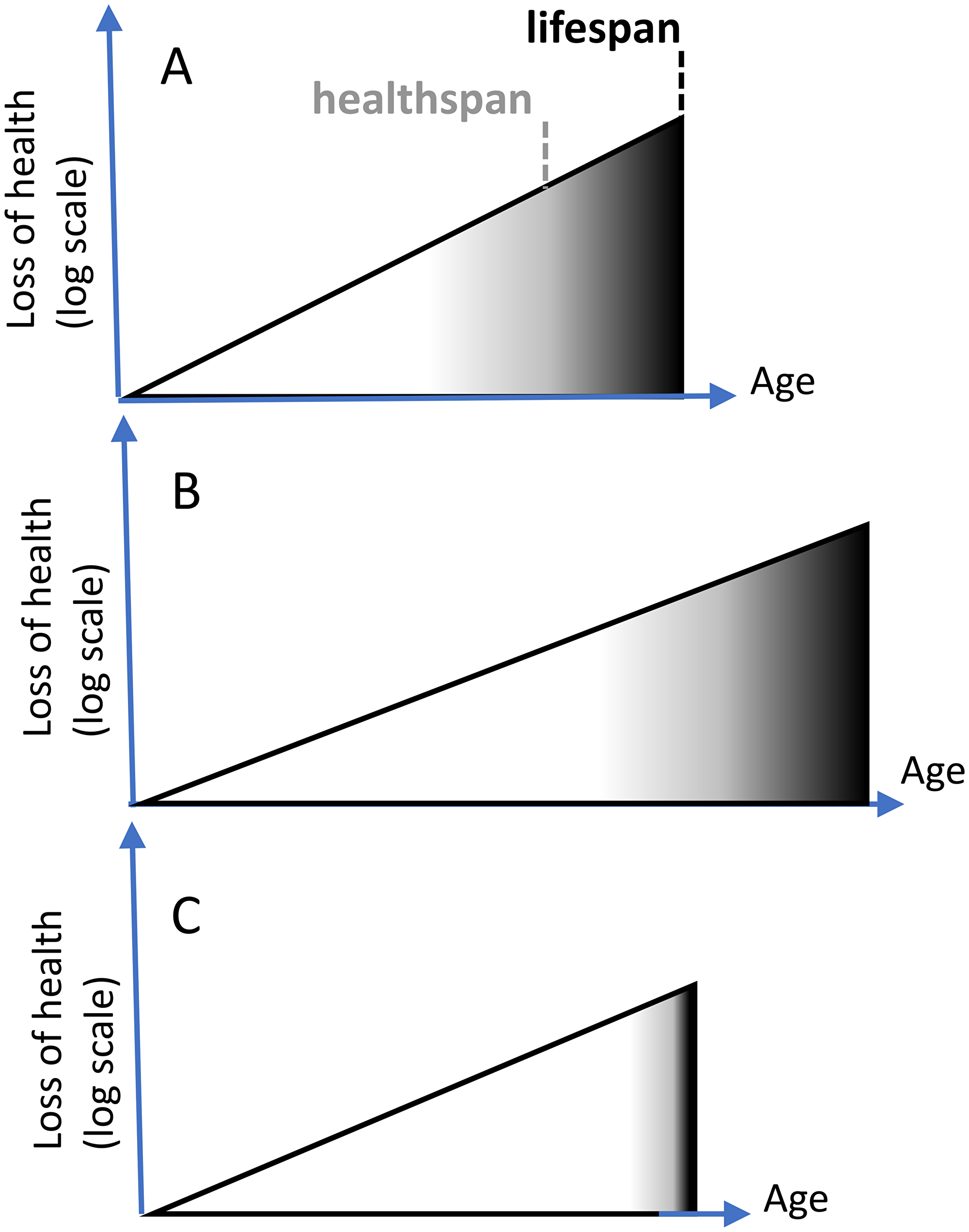 Extension of healthspan extends lifespan