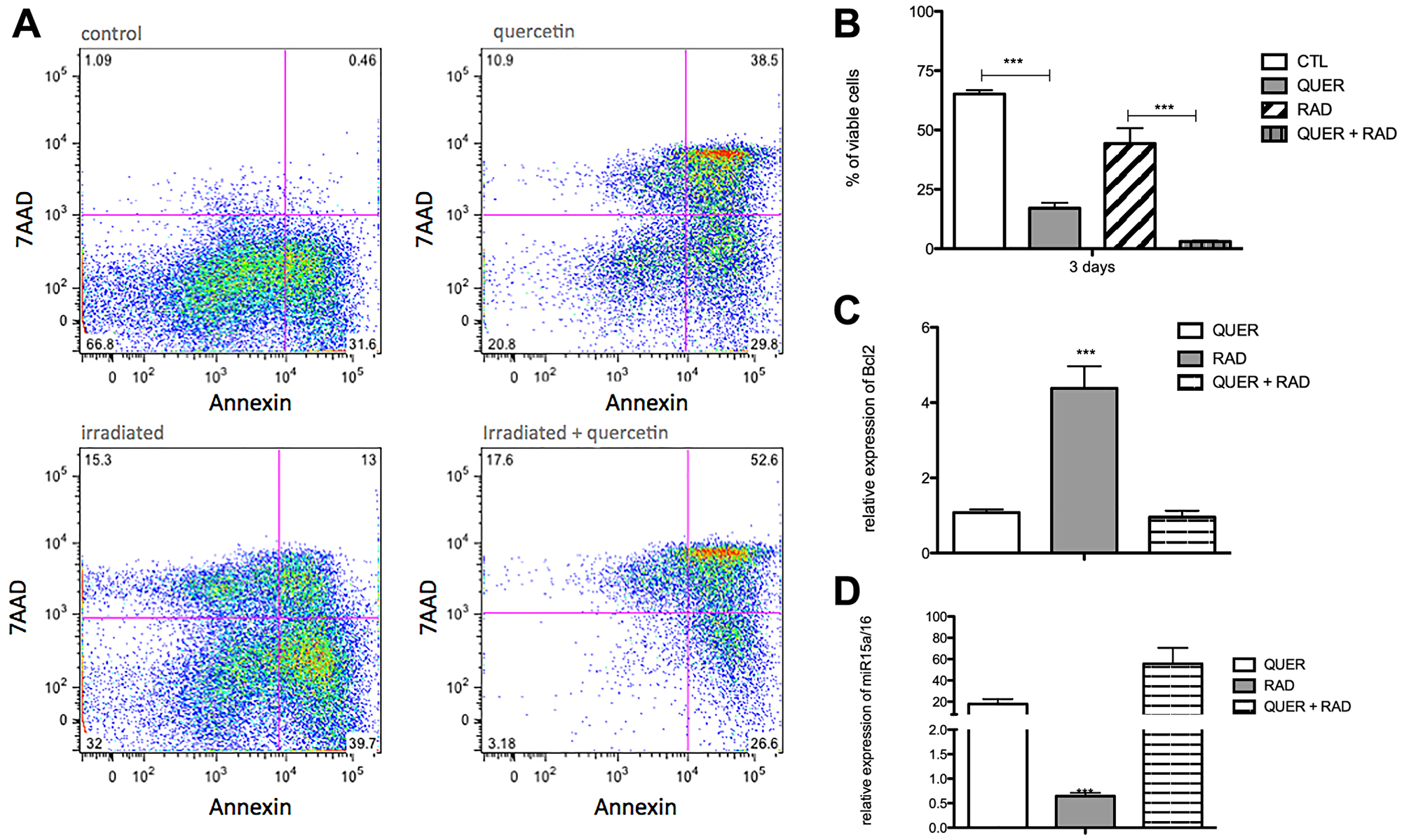 Quercetin treatment reverts the anti-apoptotic effects of irradiation