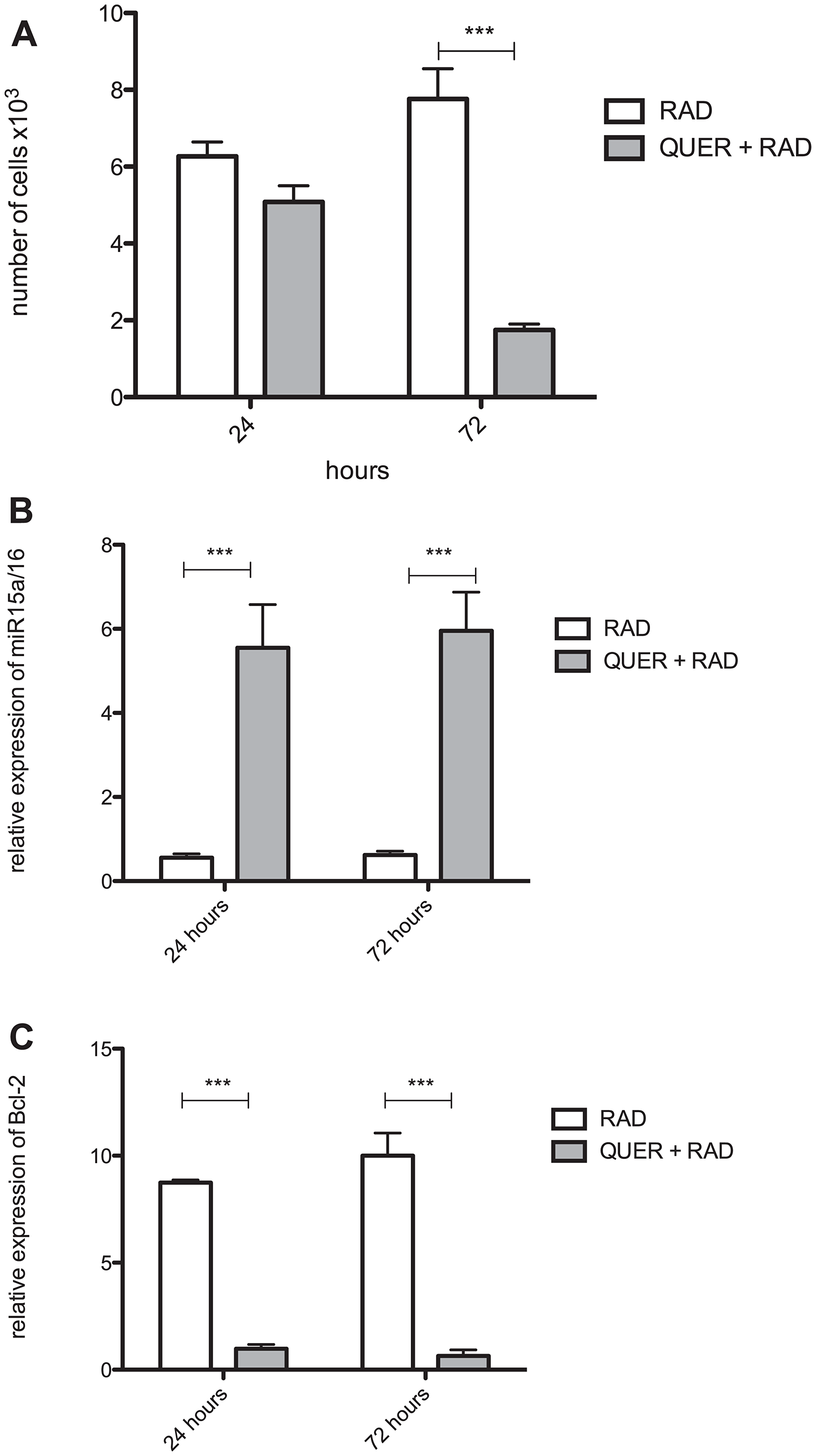 Quercetin blocks survival of radio-resistant B-1 cells in vivo