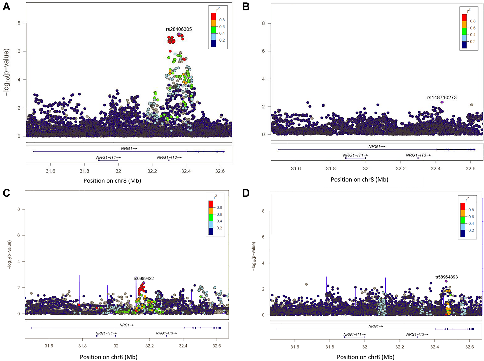 Regional plot of single-SNP association and conditional regression at locus 8p12 in Europeans, Melanesians and Polynesians