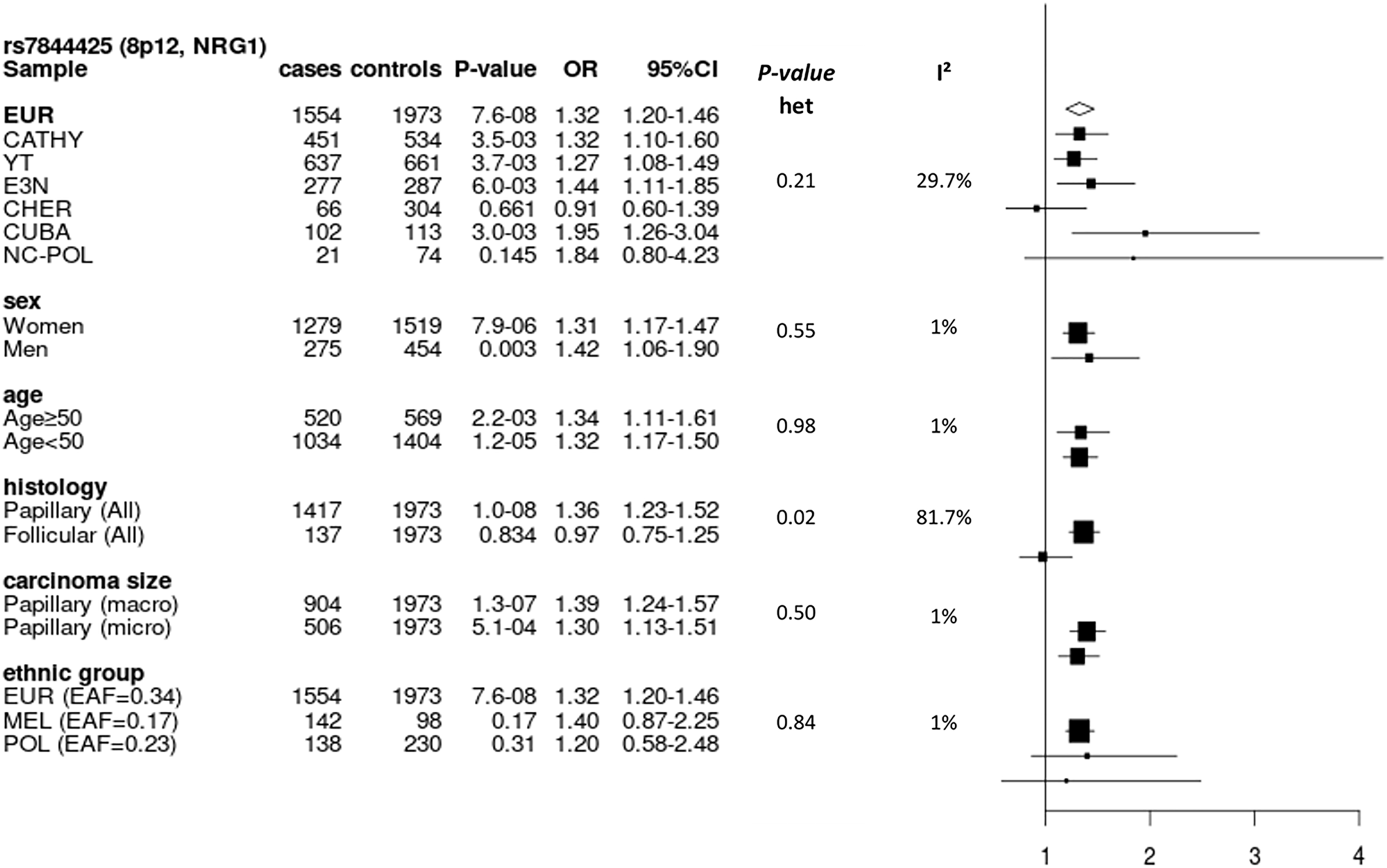 Forest plot of subgroup analyses for rs7844425 stratifying on study, sex, age group, histology and size of carcinoma in Europeans, and stratifying on population group in the entire dataset