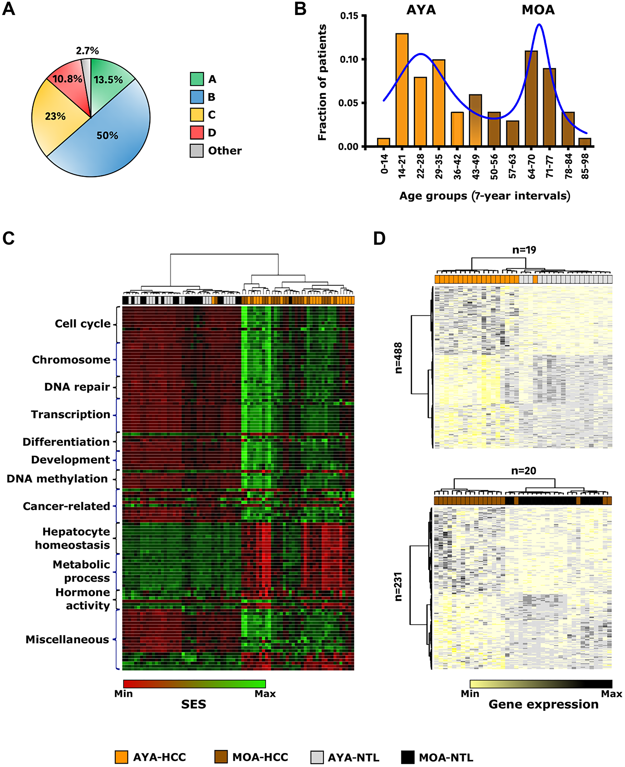 Indigenous American ancestry coincides with early-age onset of HCC and a peculiar transcriptome landscape