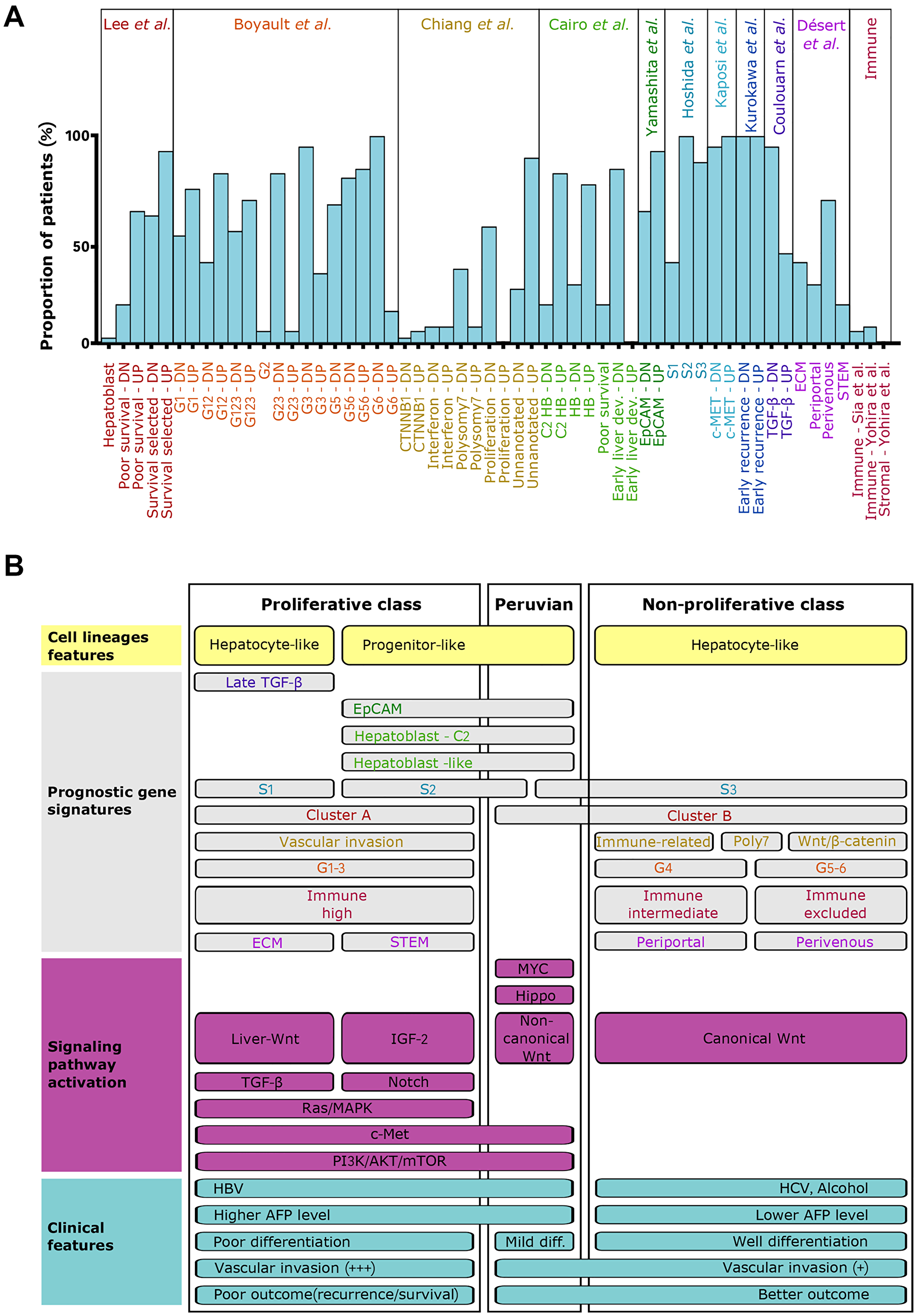 Peruvian HCC corresponds to an atypical positioning within the molecular classification