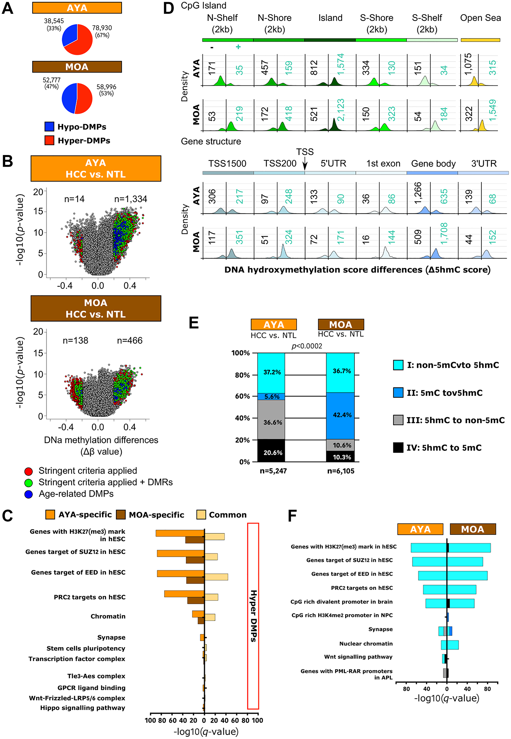 Peruvian HCC is associated with a genome-wide hypermethylation pattern, and DNA hydroxymethylation represents a relevant epigenetic mark in Peruvian HCC
