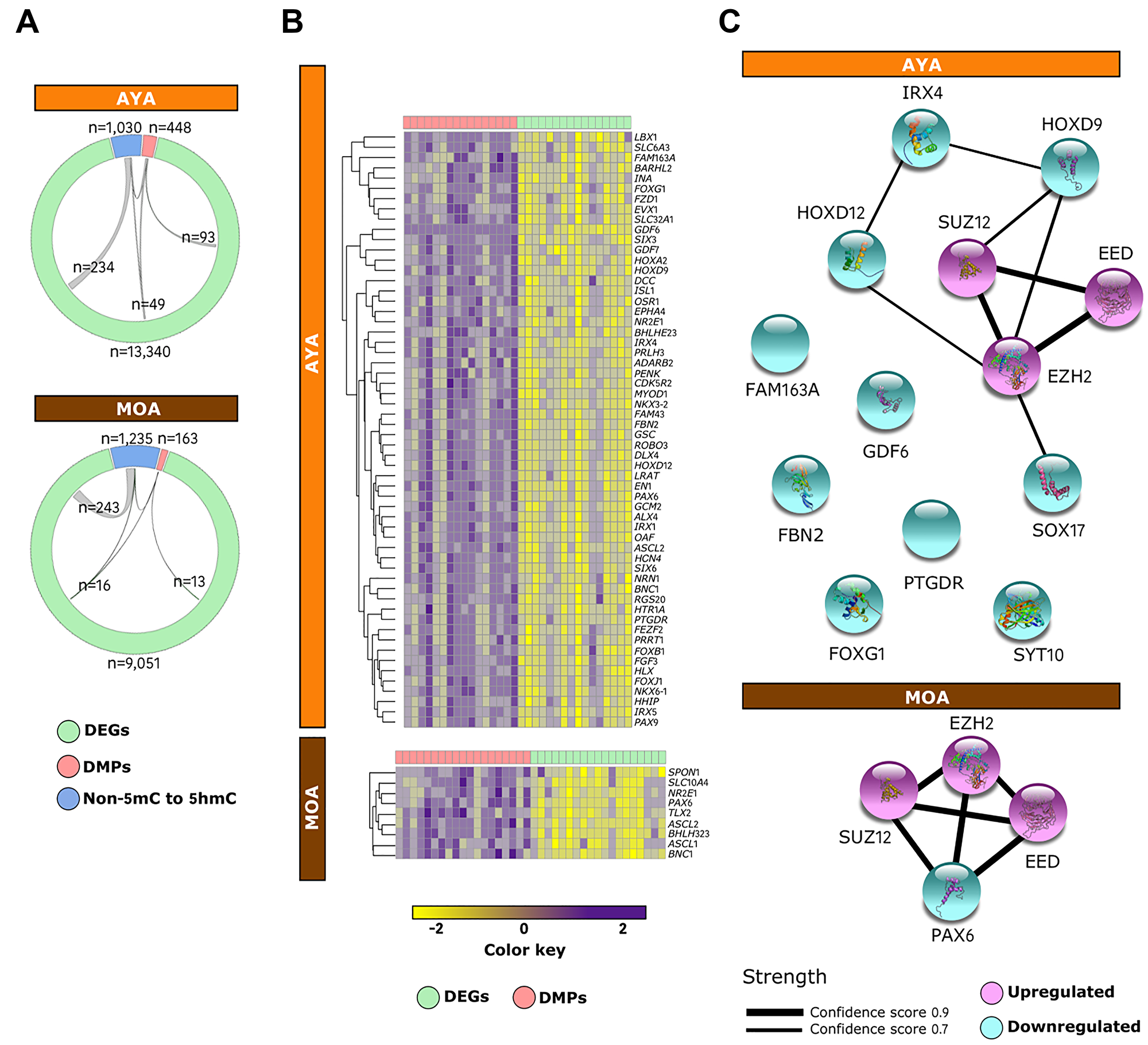 PRC2 complex mediates cancer cell reprogramming via DNA methylation in Peruvian HCC