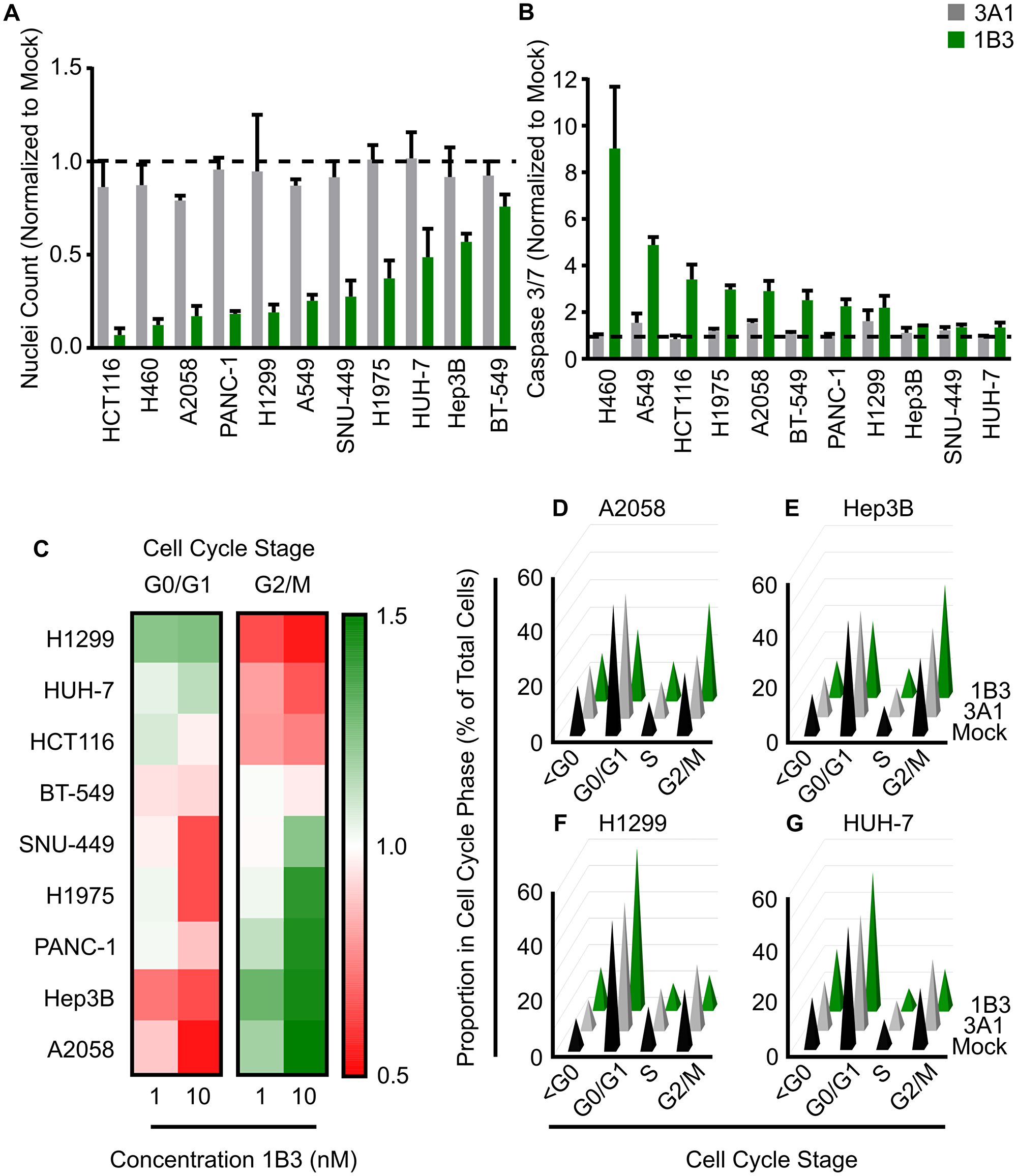 Effect of 1B3 on cell proliferation, apoptosis, and cell cycle in a panel of human cancer cell lines