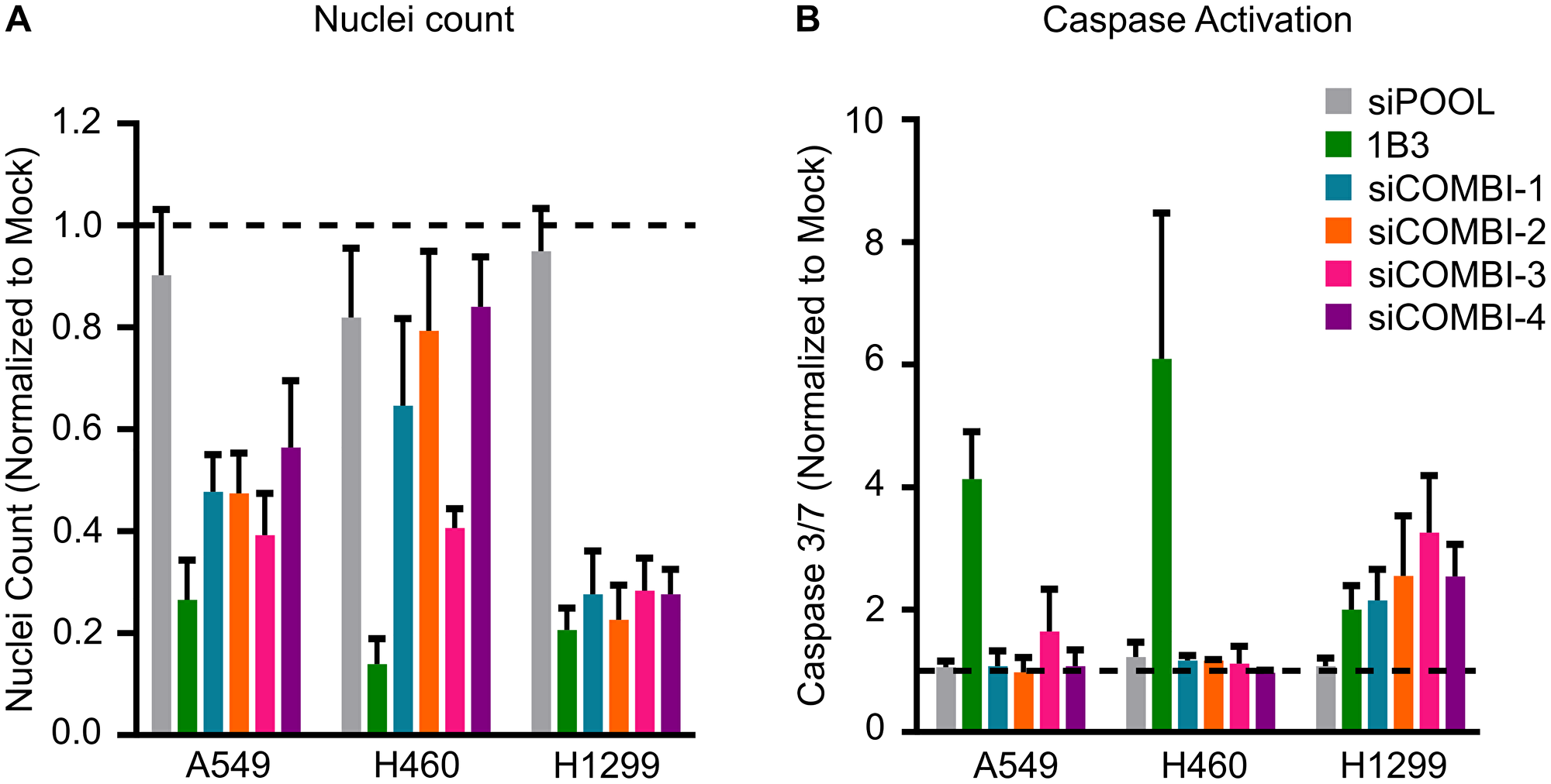 Effect of silencing combinations of 1B3 target gene expression on cell proliferation and apoptosis in selected human cancer cell lines