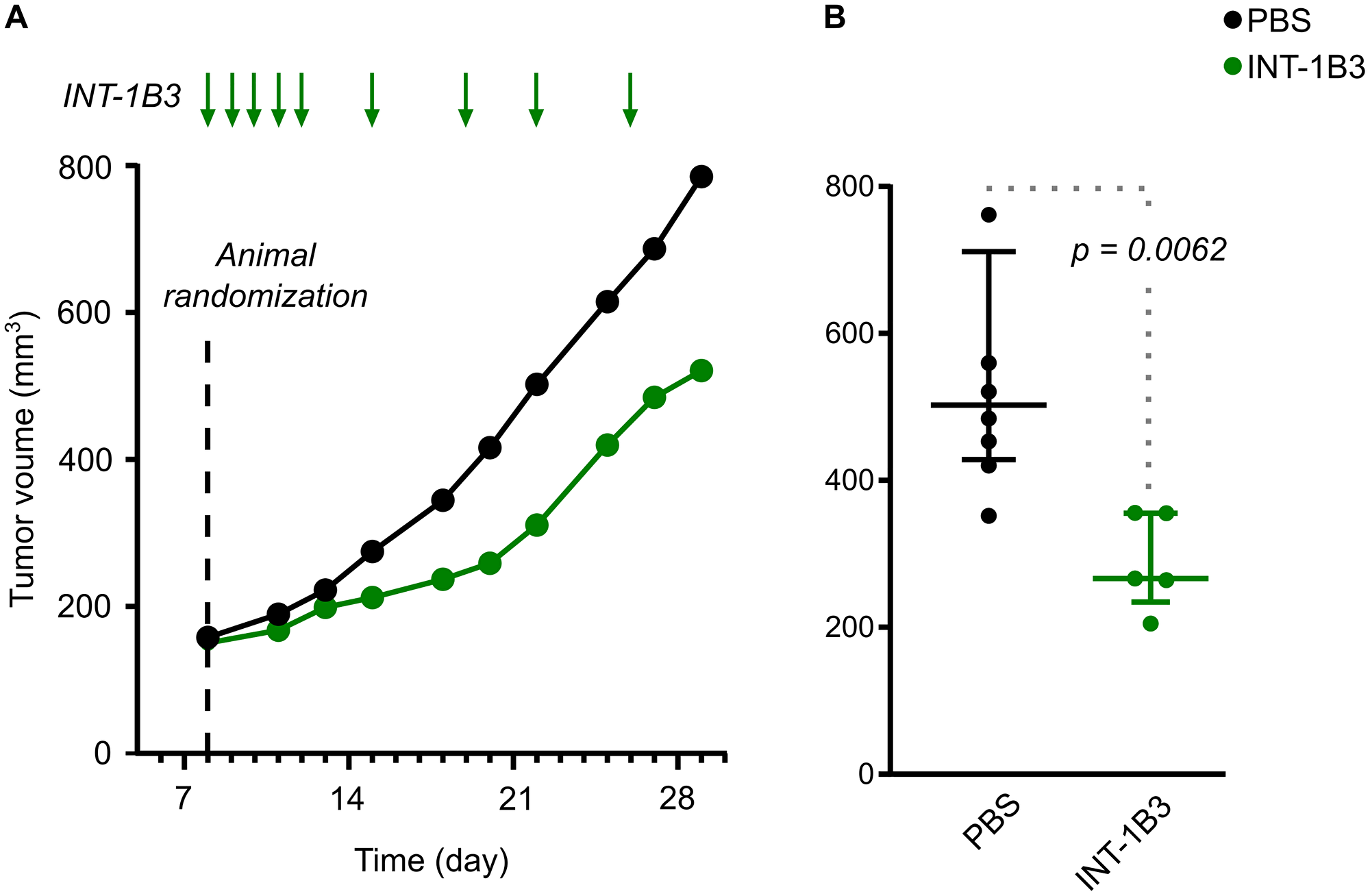 Effect of INT-1B3 on subcutaneous human melanoma A2058 tumor growth in immune-compromized mice