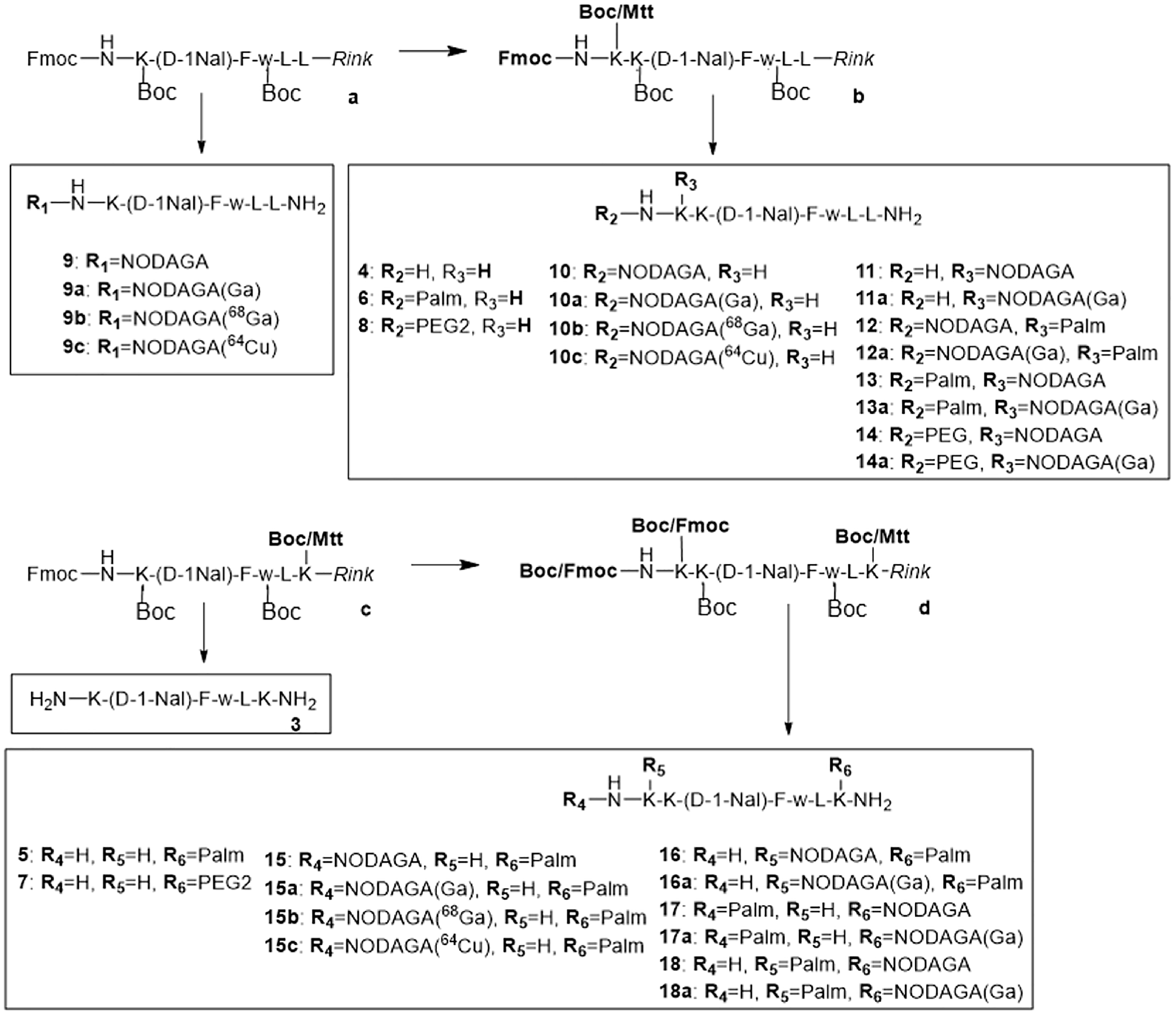 Synthesis of peptides 3–18