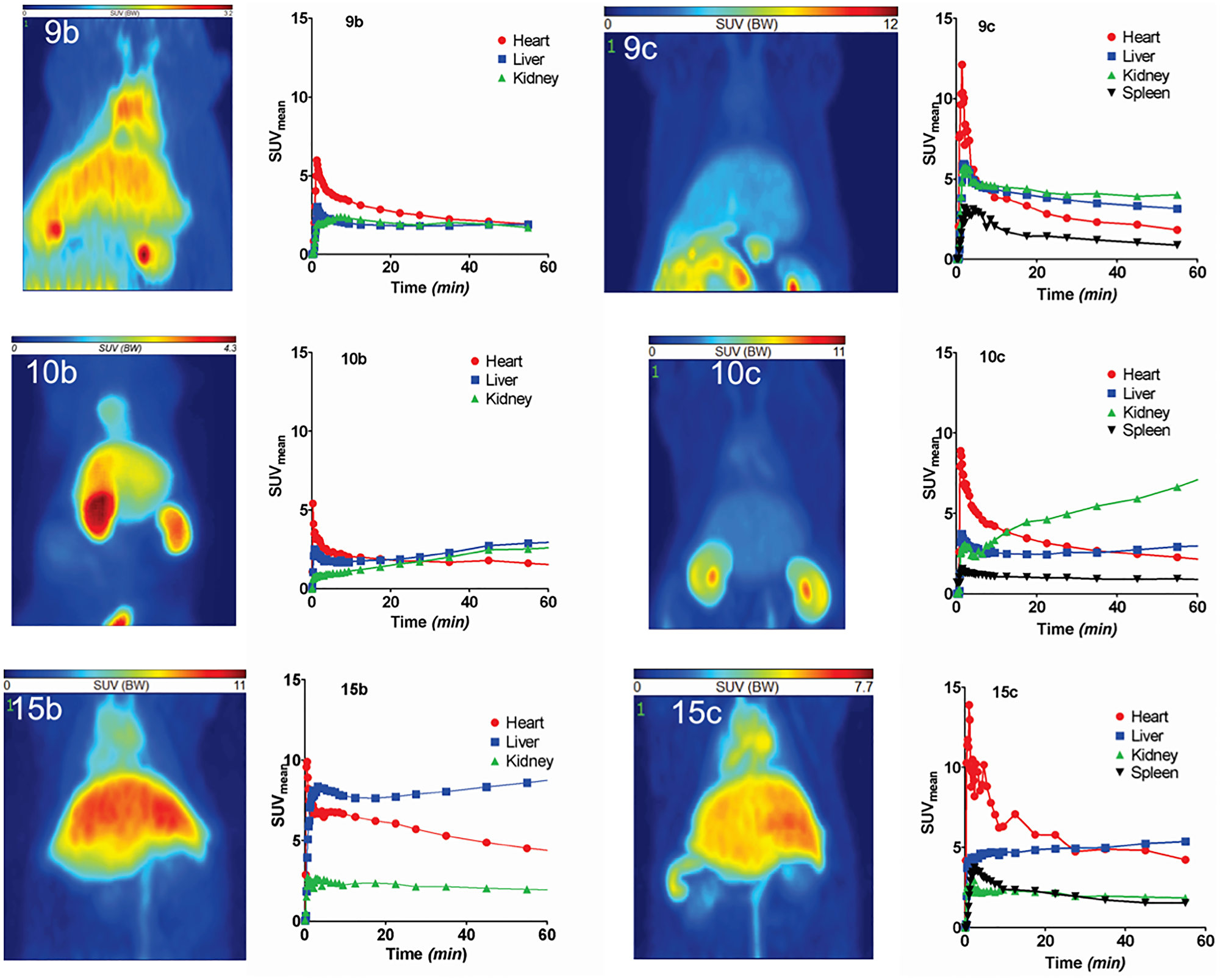 PET studies of 68Ga- and 64Cu-labeled radiotracers in healthy rats