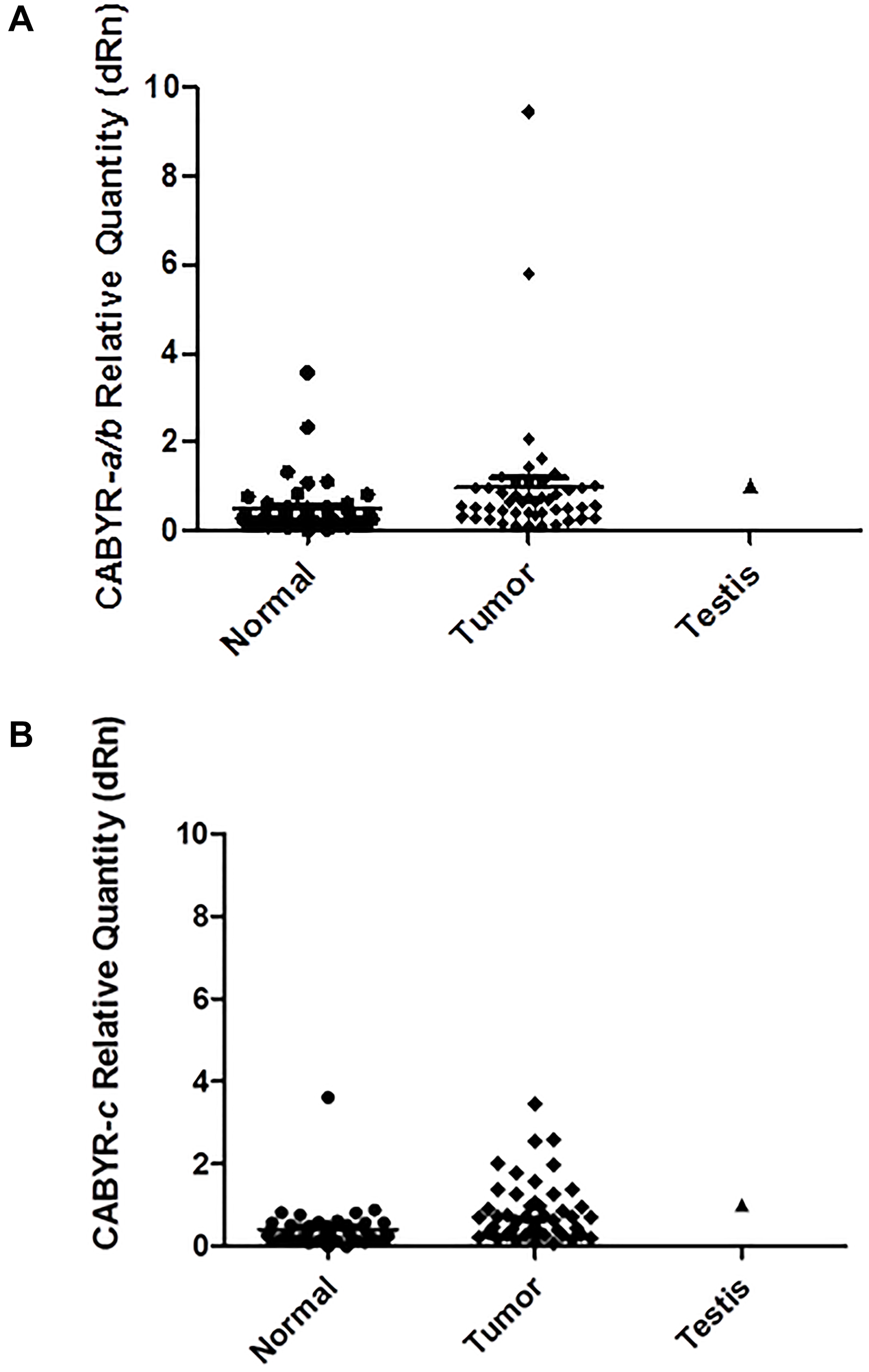(A) CABYR a/b relative quantity (dRn) [normalized to Testis = 1). (B) CABYR c relative quantity (dRn)[normalized to Testis = 1).