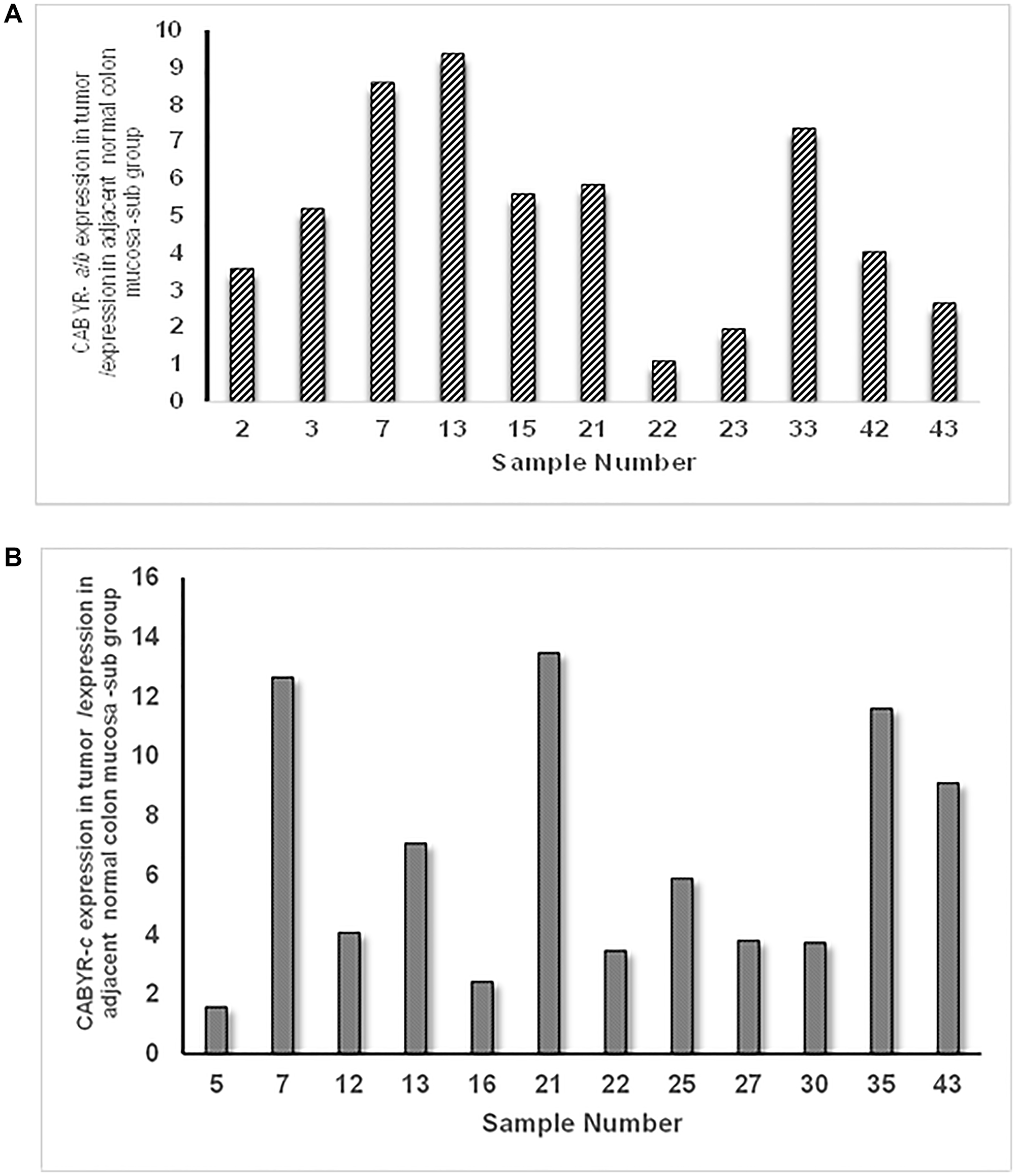 (A) Sub group of tumors with relative expression of CABYR a/b Tumor vs. adjacent normal mucosa over 1 and expression levels over 0.1% of testis. (B) Sub group of tumors with relative expression of CABYR c Tumor vs. adjacent normal mucosa over 1 and expression levels over 0.1% of testis.