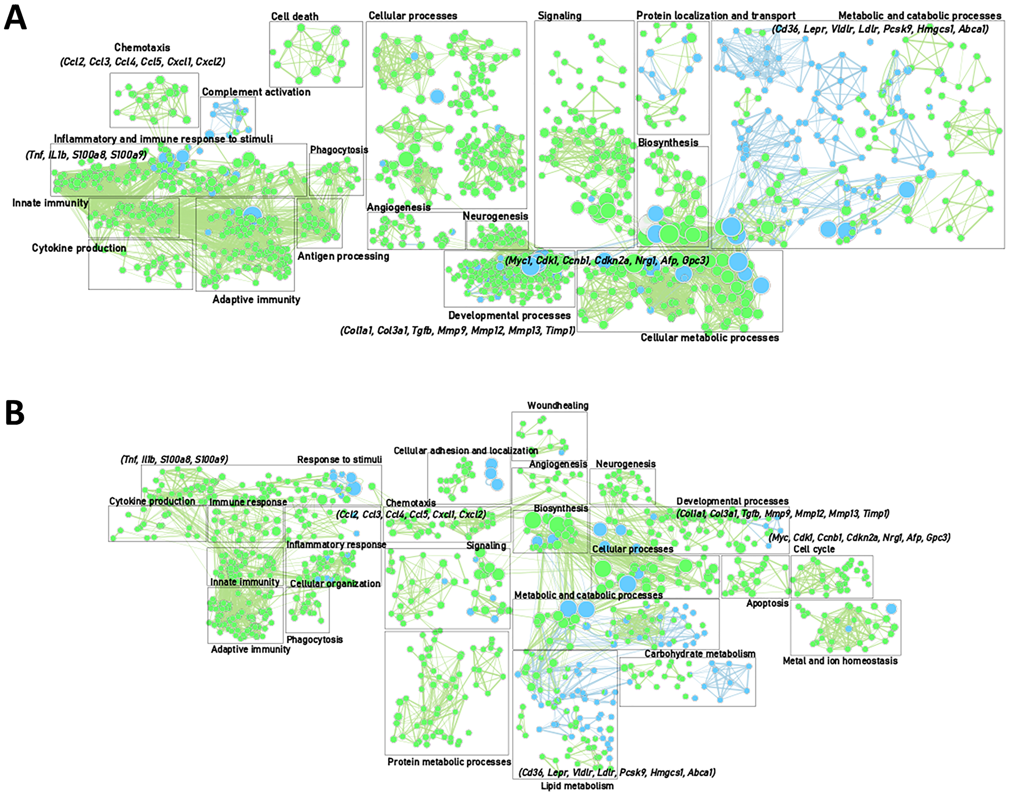 Gene enrichment mapping of significantly (FDR 0.01) up- or downregulated (green and blue, respectively)