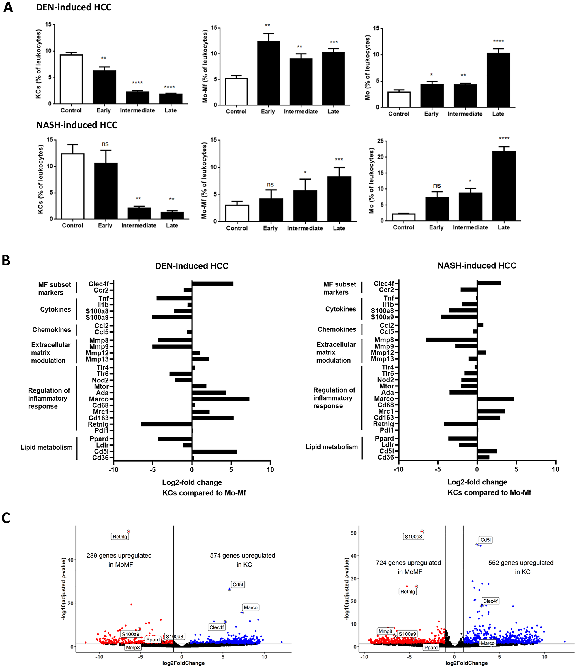 (A) Mφ subtypes as percentage of leukocytes (CD45+ cells) during HCC. DEN-model: control (n = 7), early (n = 9), intermediate (n = 10) and end-stage (n = 10). NASH-model: control (n = 5), early (n = 10), intermediate (n = 12) and end-stage (n = 6). Variables are presented as mean ± SEM. Multiple comparisons analysis was performed using ANOVA. *P $!--ESC