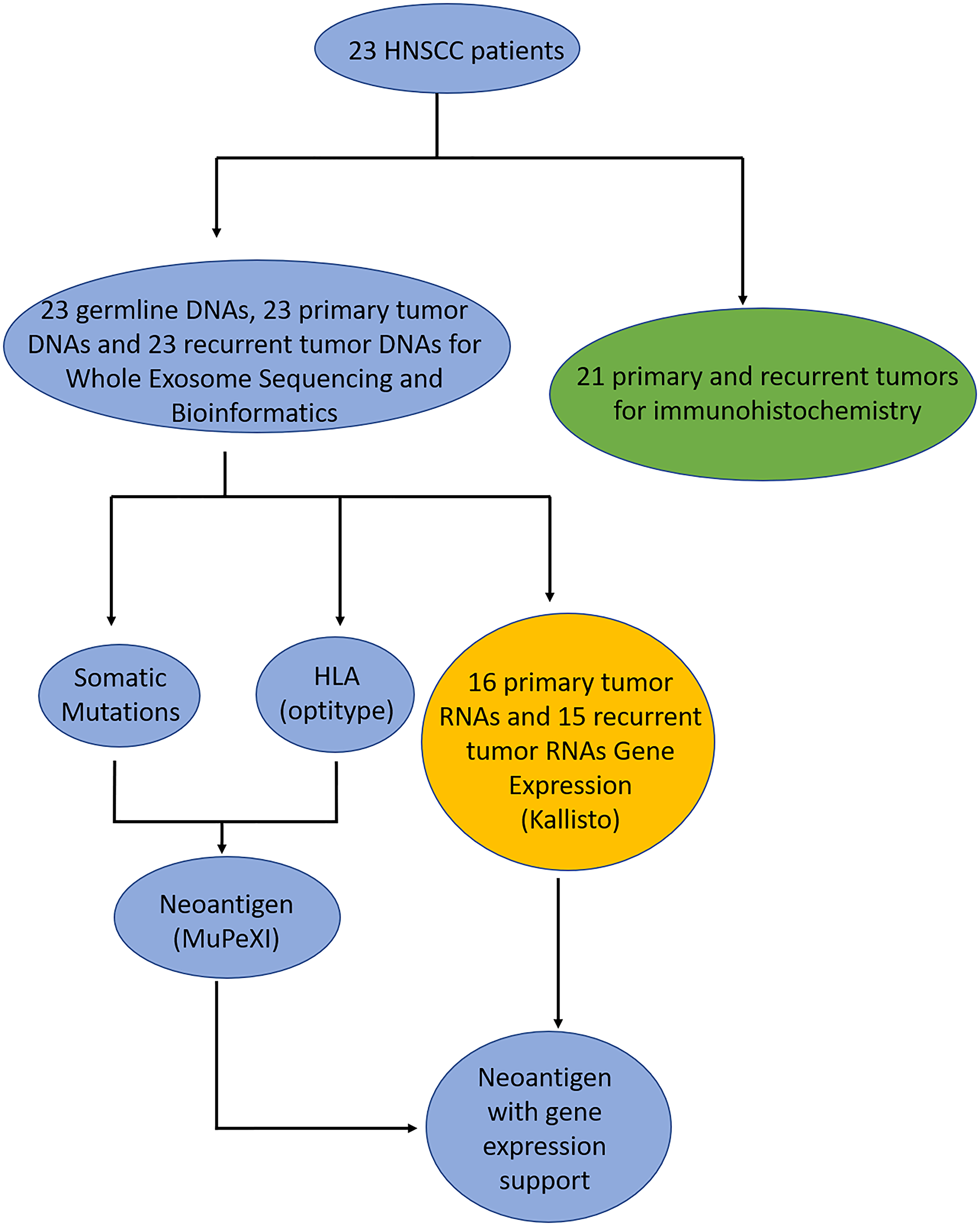 Flowchart of patient samples