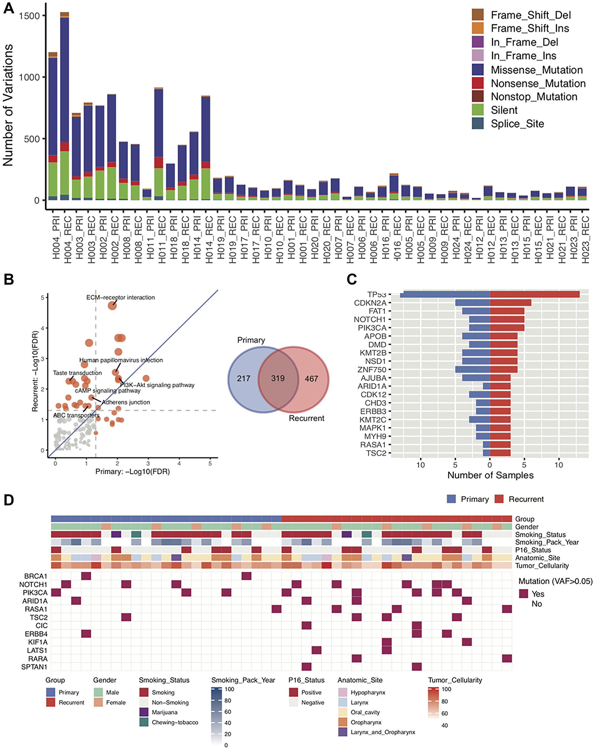 Characterization of DNA sequences of primary and recurrent/metastatic tumors