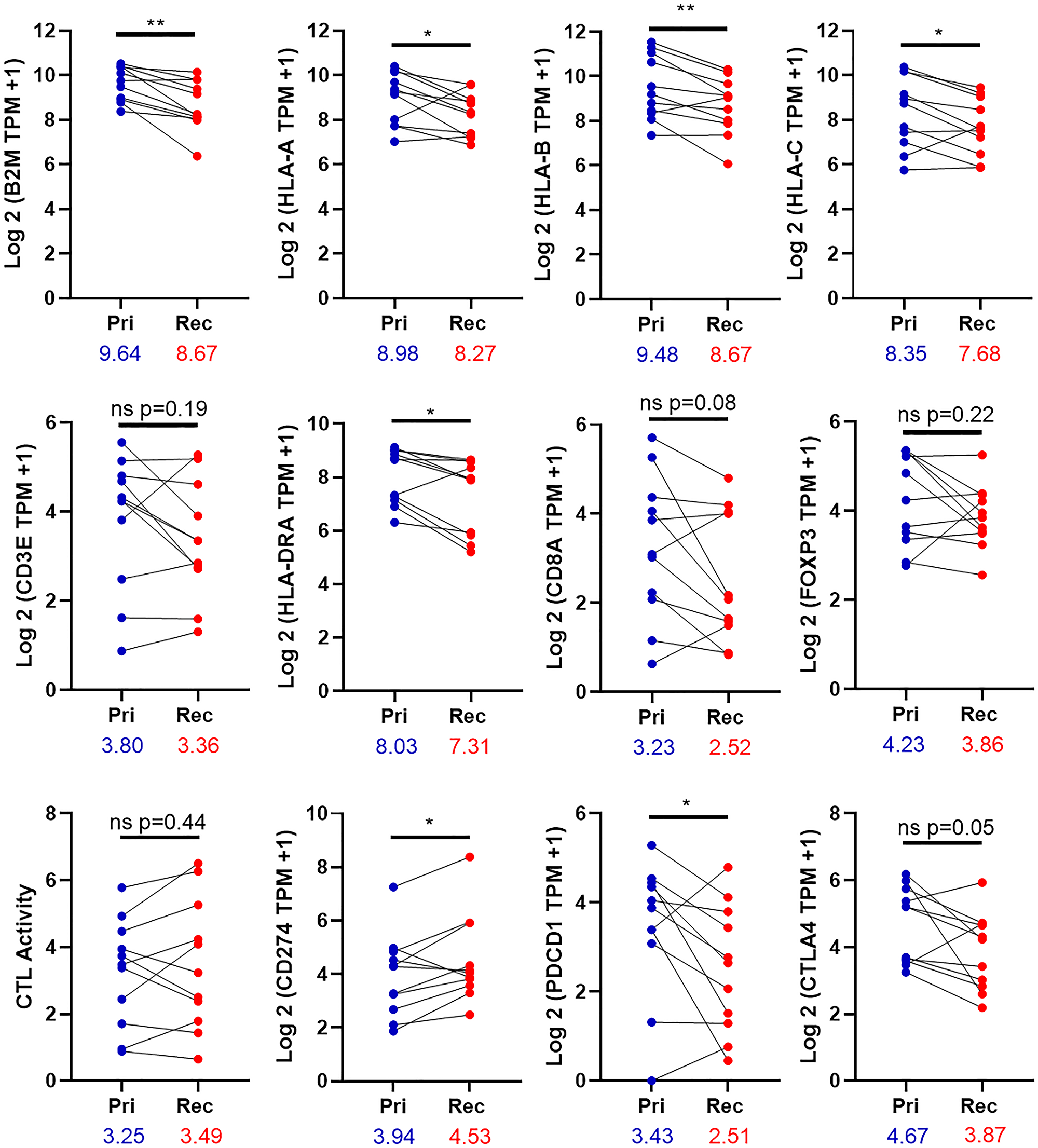 Expression of immune genes in the tumor
