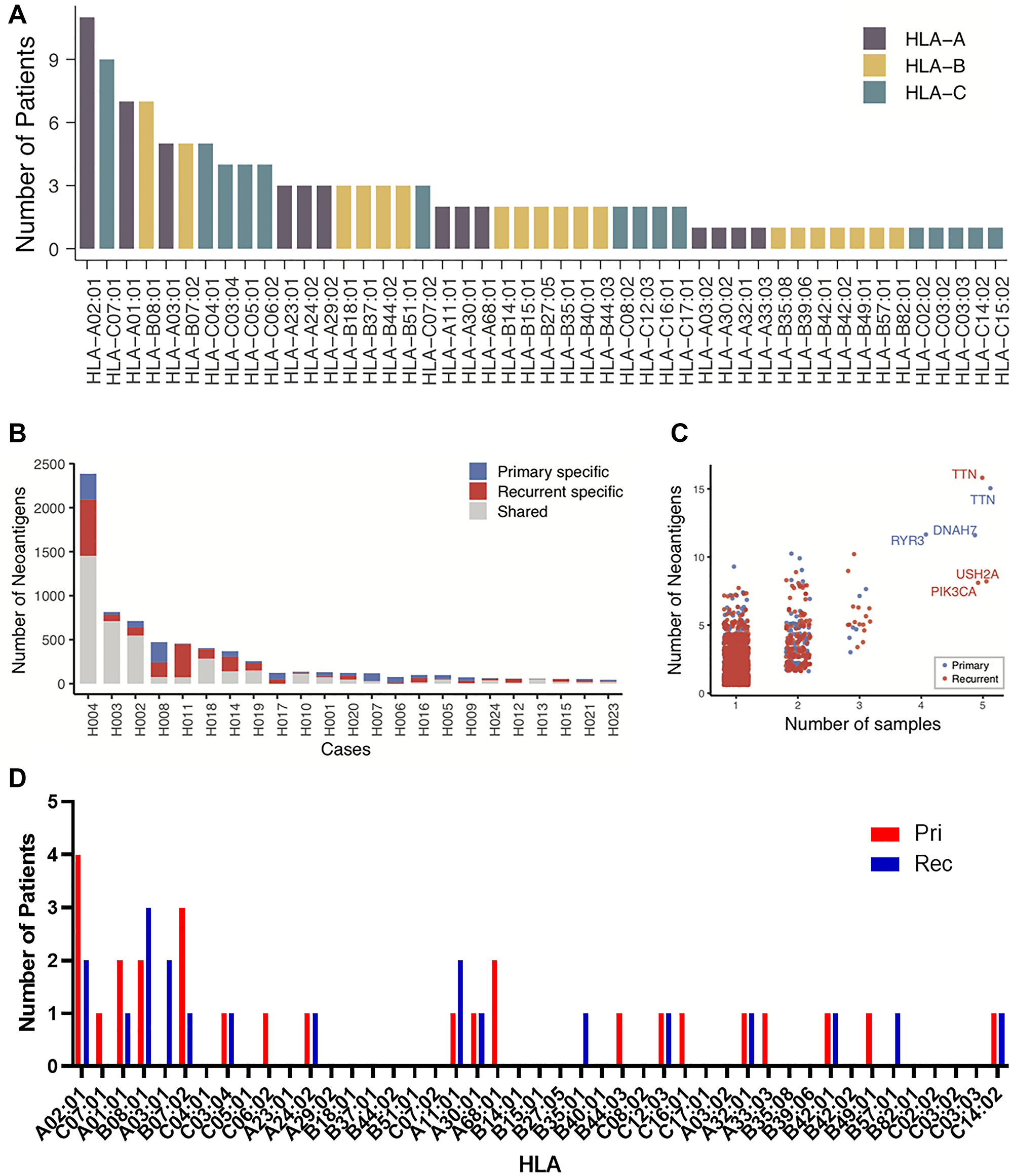 Neoantigen burden and evolution
