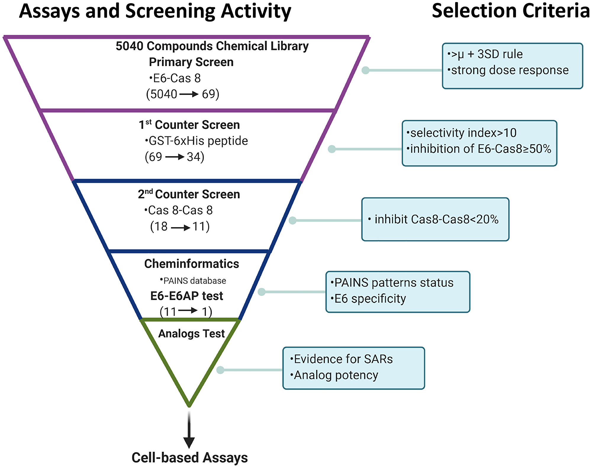 Summary of high content screening strategy