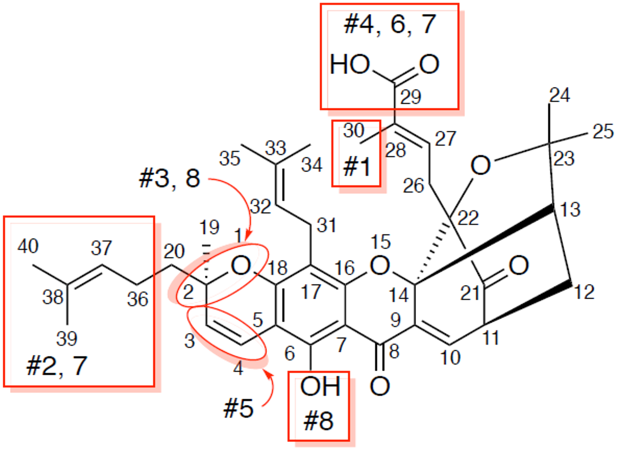 Analogs of gambogic acid (structure-activity relationship study)