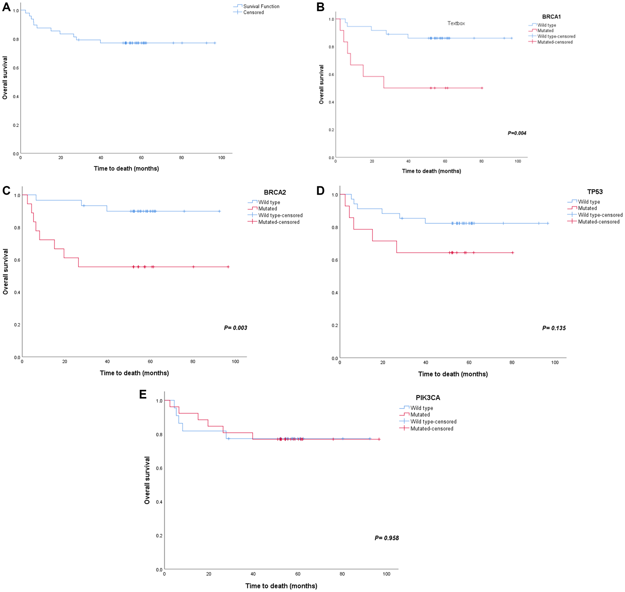 Survival plots for major gene mutations