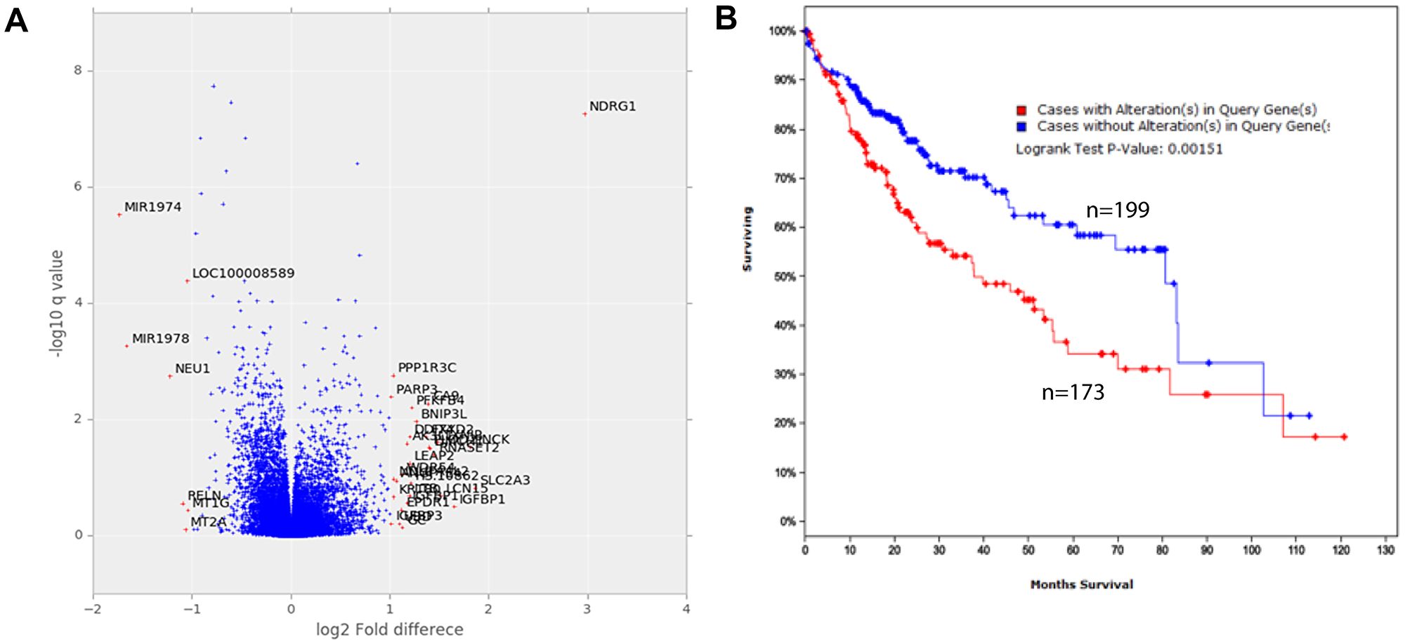 Gene expression of cells cultured in standard and native conditions
