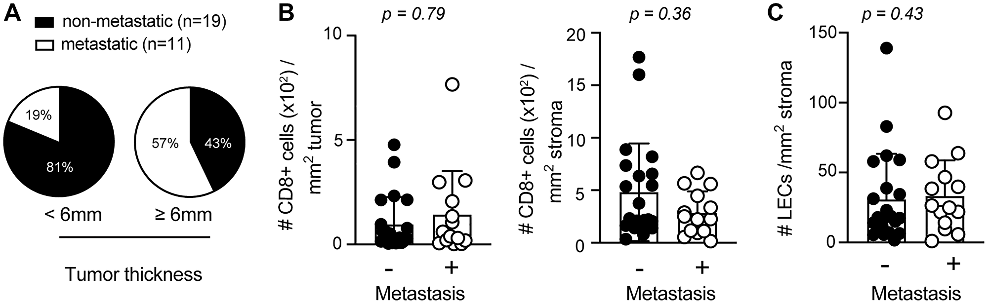 Elevated primary tumor thickness is more abundant in metastatic sSCC
