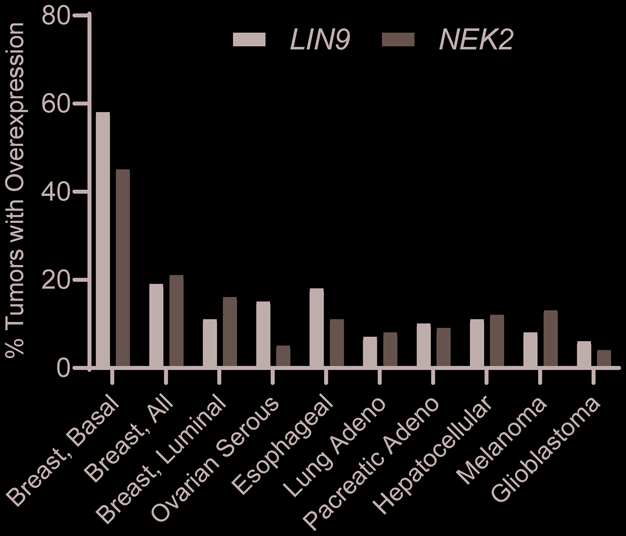 LIN9 and NEK2 overexpression in various human cancers. Percent of tumors with overexpression of either LIN9 or NEK2 across cancer types. Graph generated using RNA-Seq data generated by the TCGA Research Network [21] (<a href="http://www.cancer.gov/tcga" target="
