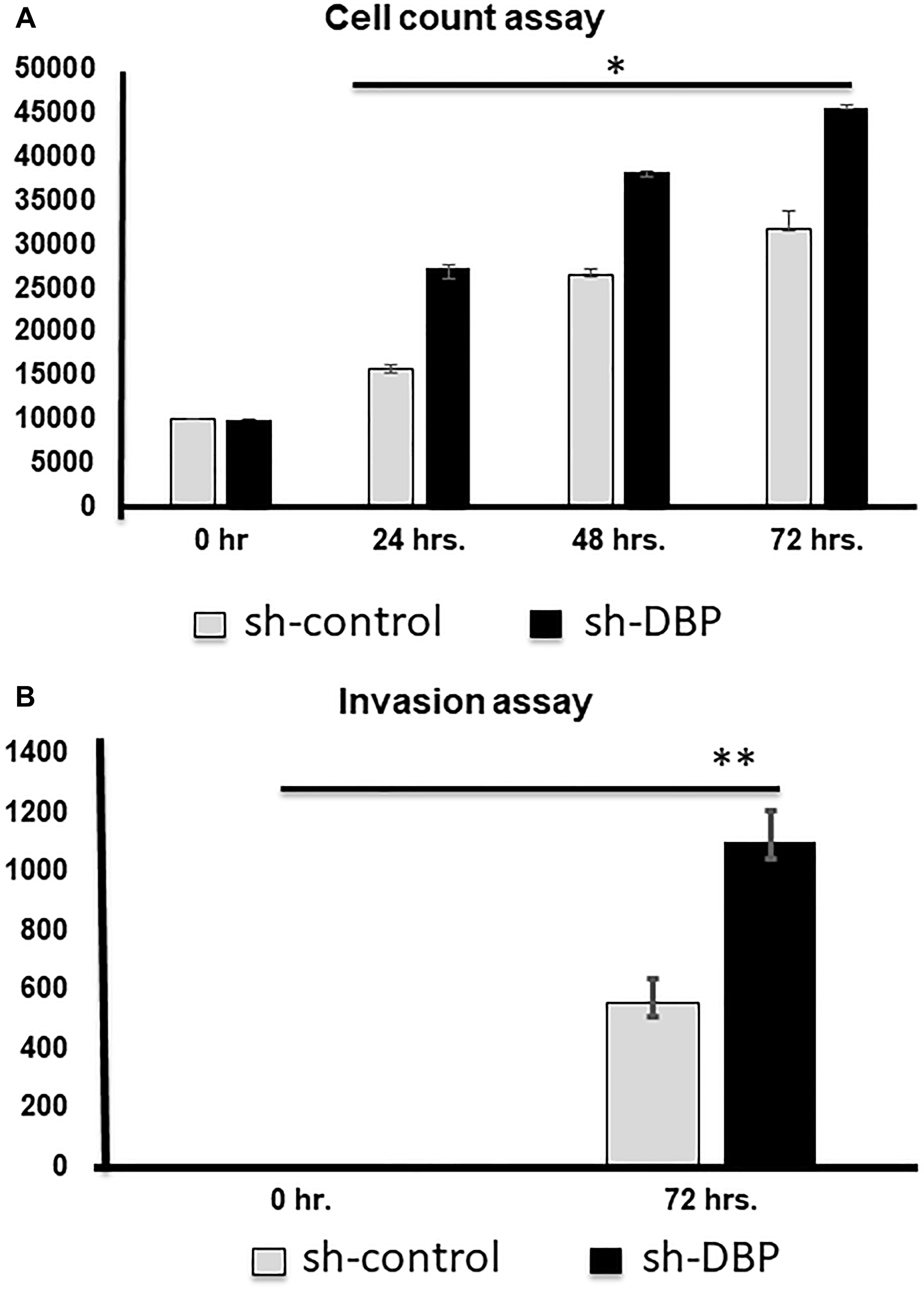 Cell counting and invasion assays after si-DBP-knockdown