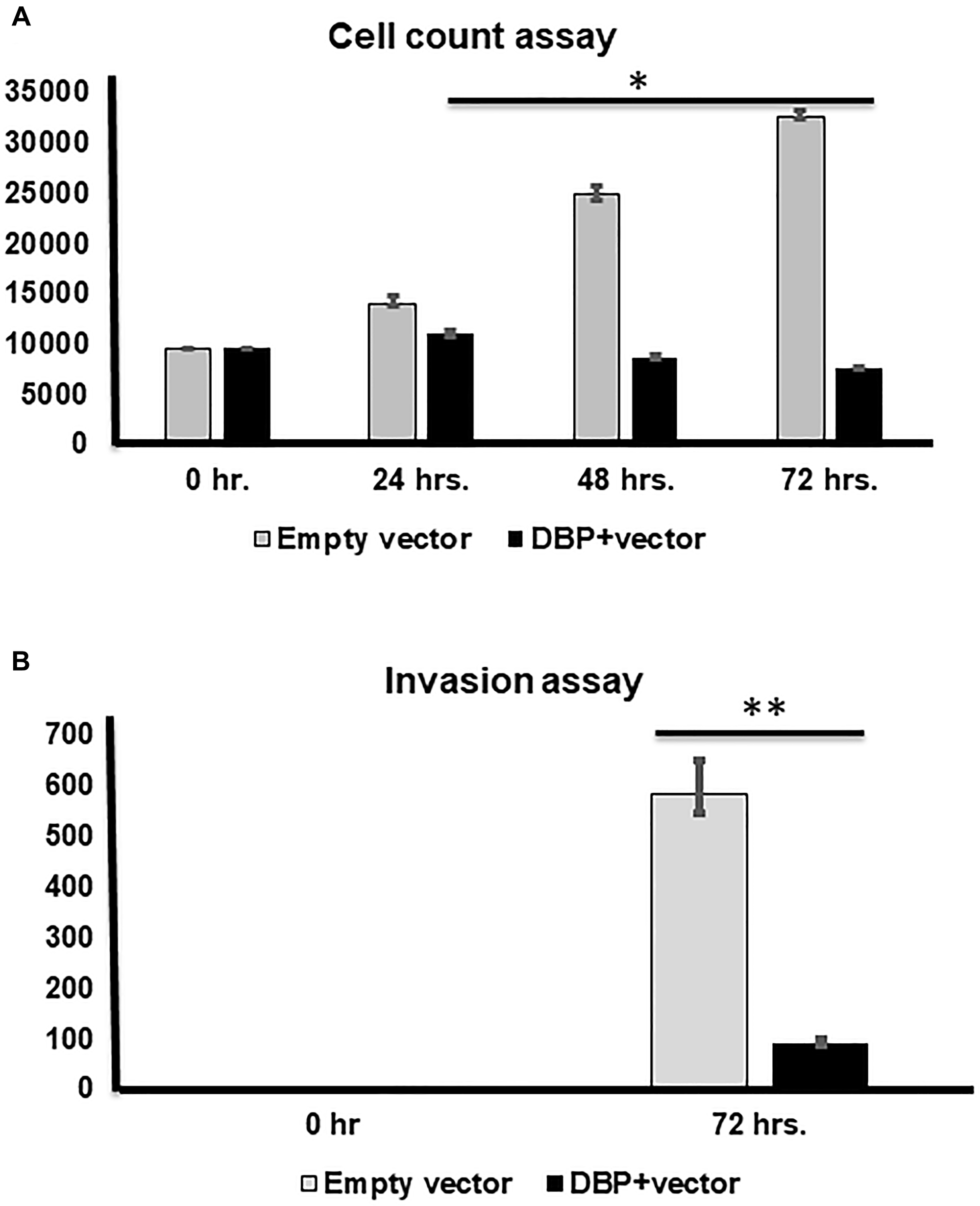 Cell counting and invasion assays after DBP-upregulation