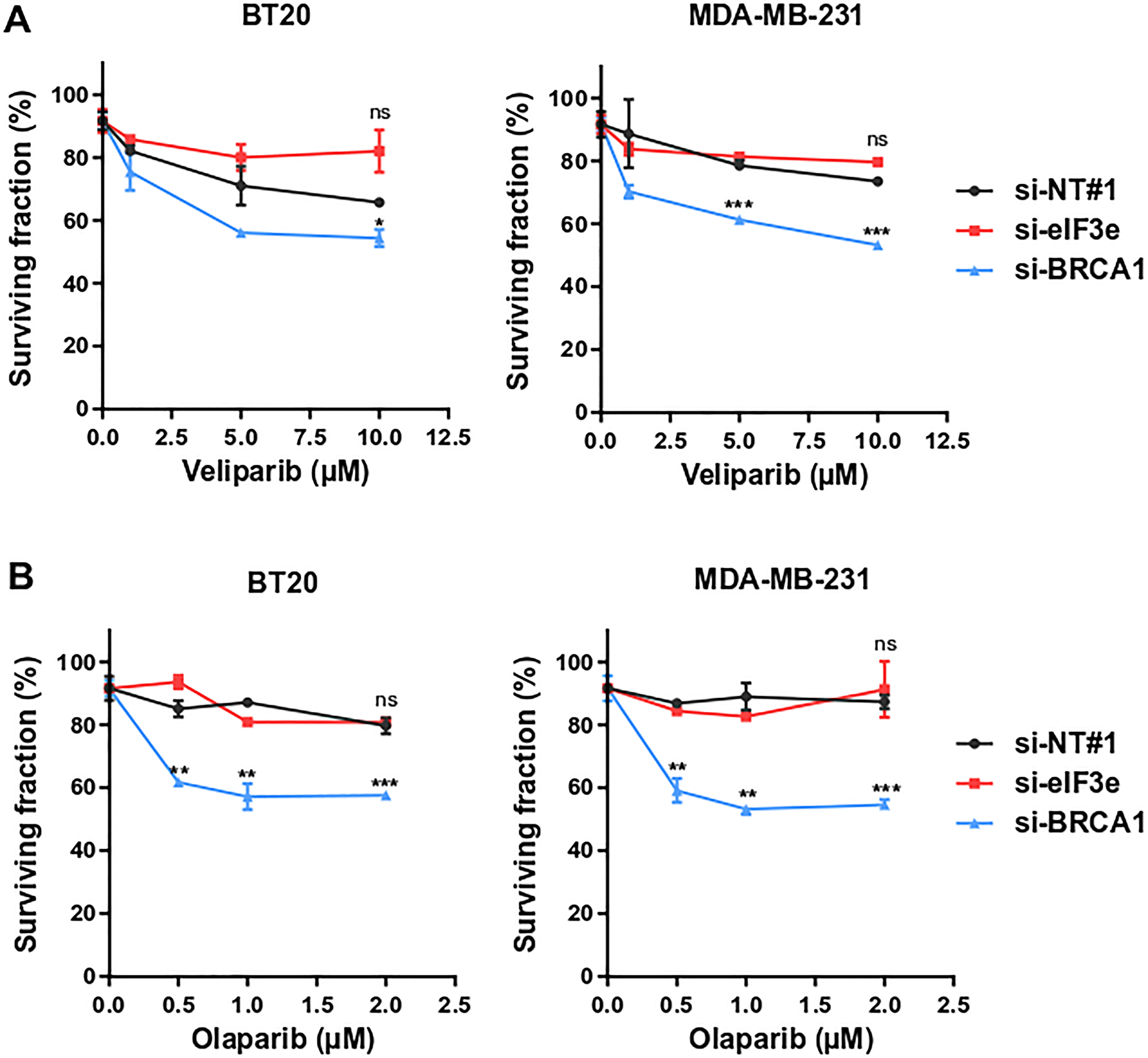 eIF3e knockdown renders breast cancer cells resistant to PARPi