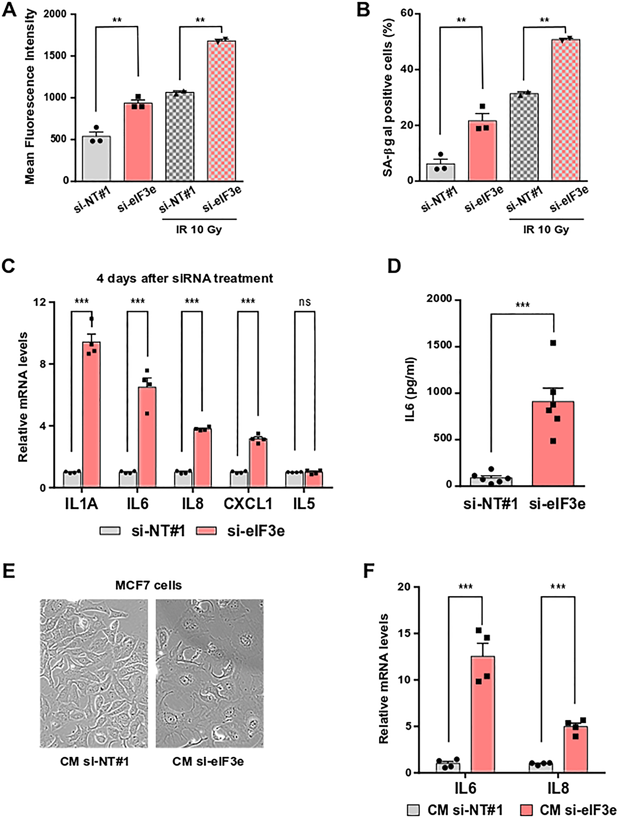 eIF3e depletion promotes senescence and senescence-associated secretory phenotype