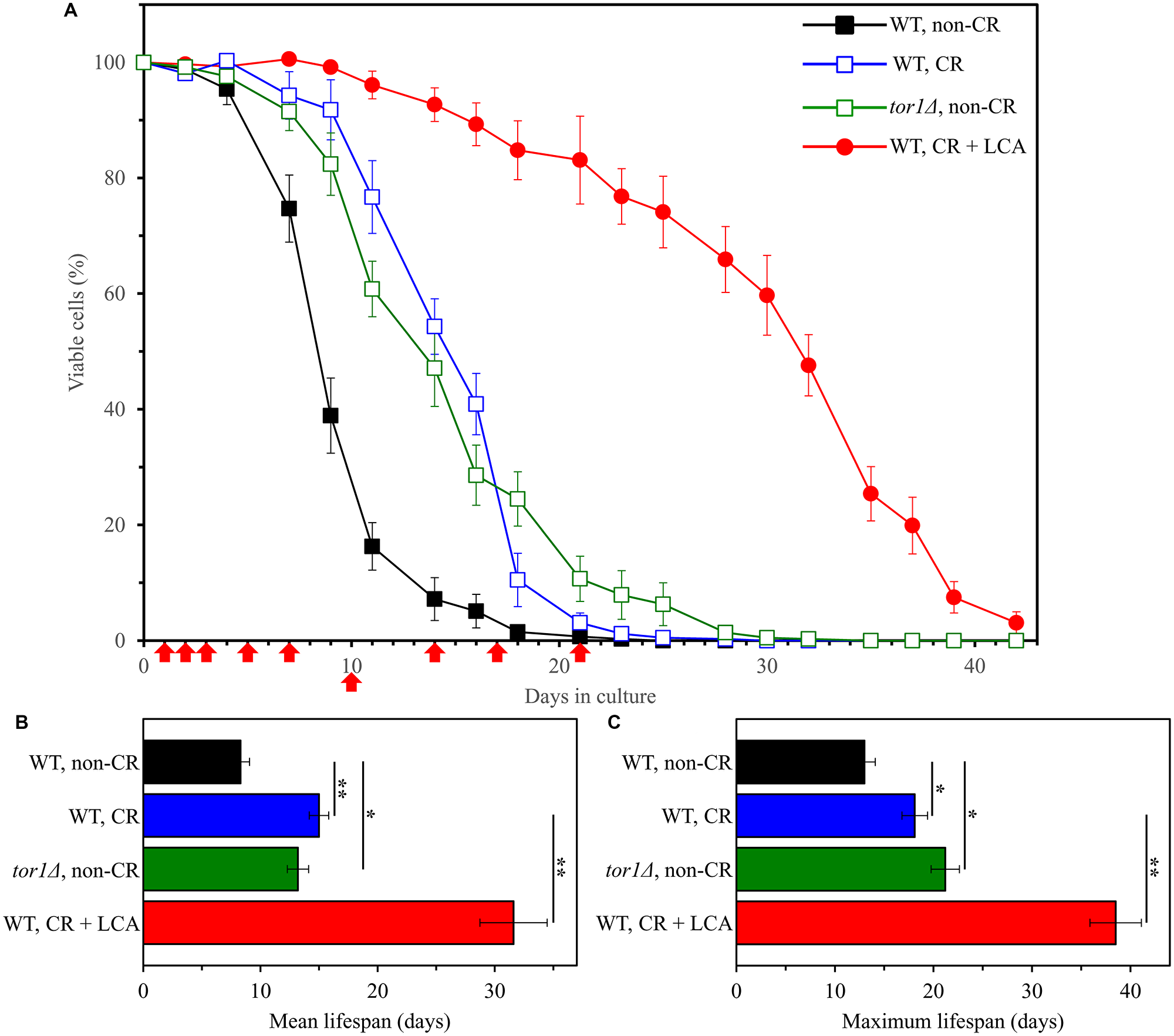 Caloric restriction (CR), the tor1Δ mutation and lithocholic acid (LCA) increase the chronological lifespan (CLS) of budding yeast