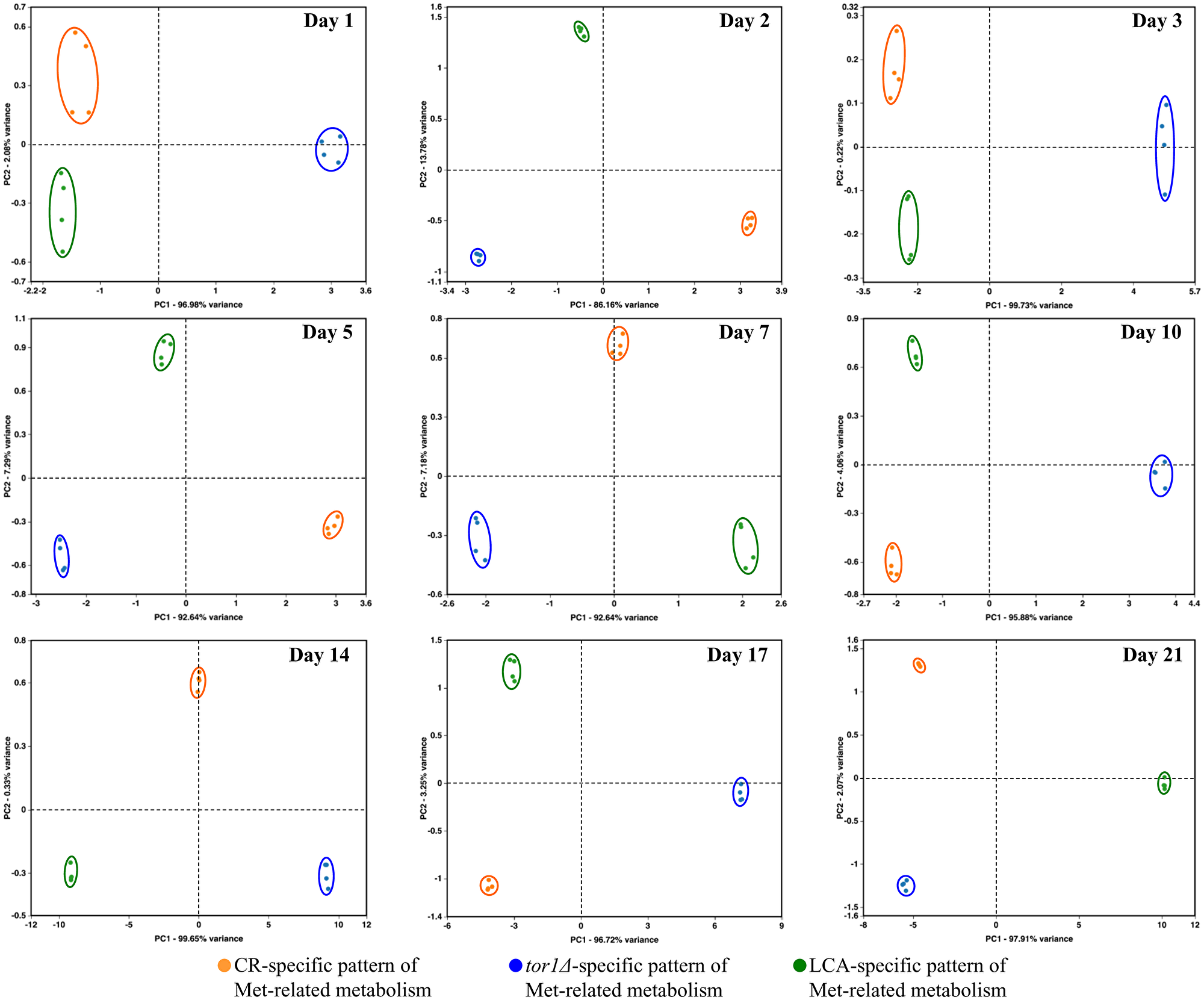 CR, tor1Δ and LCA differently affect the metabolic pathway for sulfur amino acid biosynthesis on various days of culturing