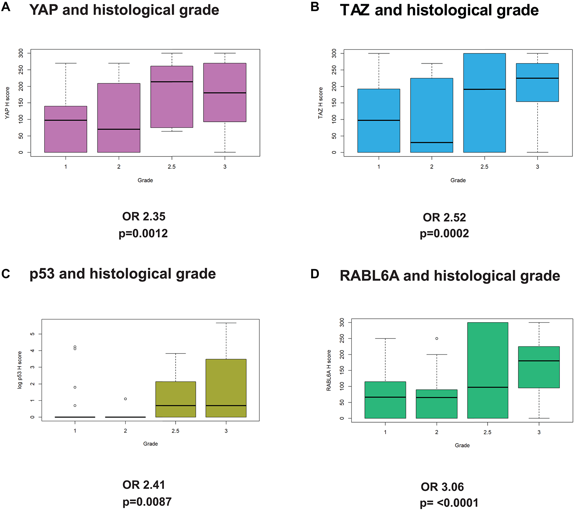 YAP, TAZ, p53, and RABL6A expression are associated with higher histological grade
