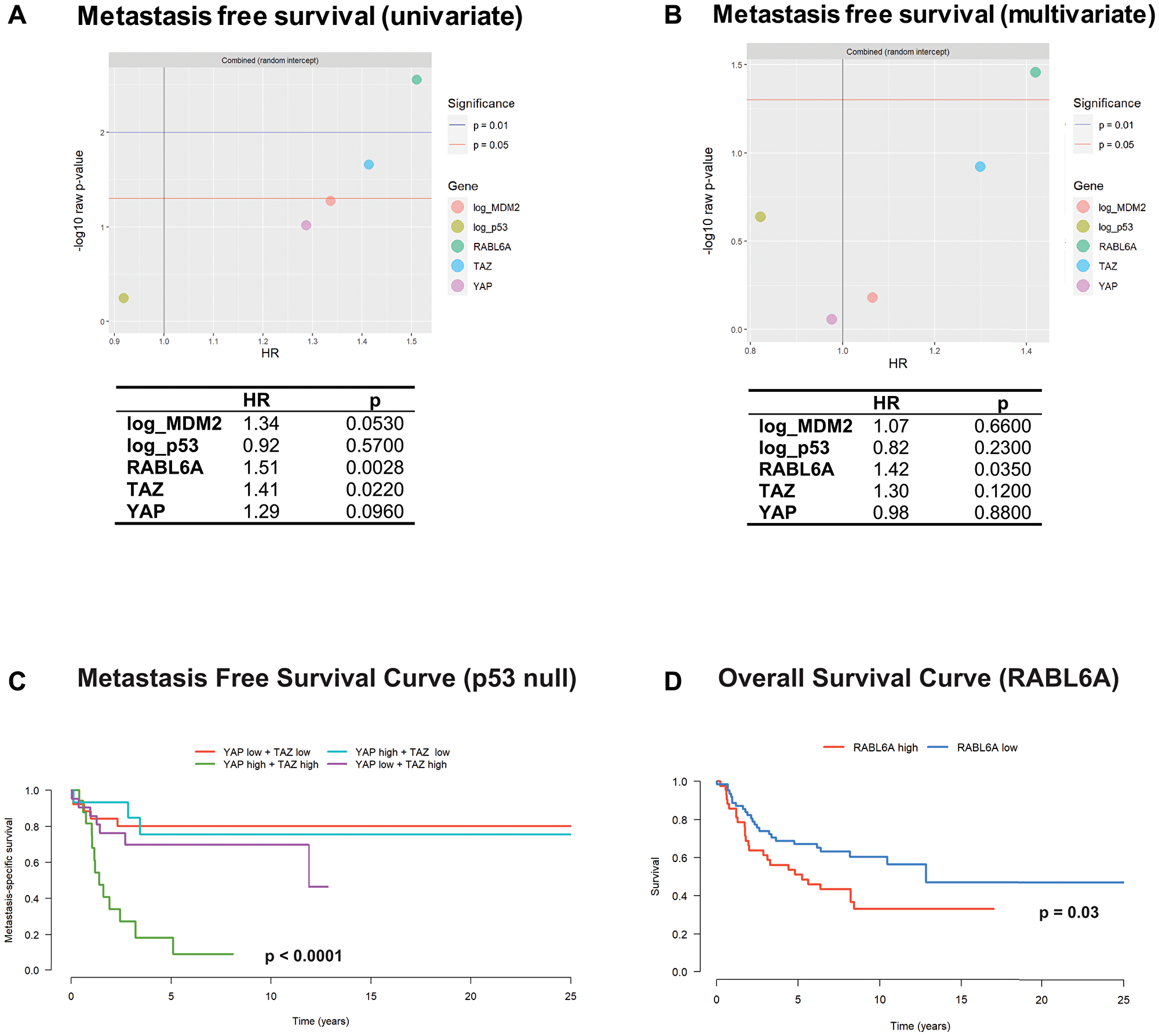RABL6A and the Hippo pathway axis predict metastasis free survival
