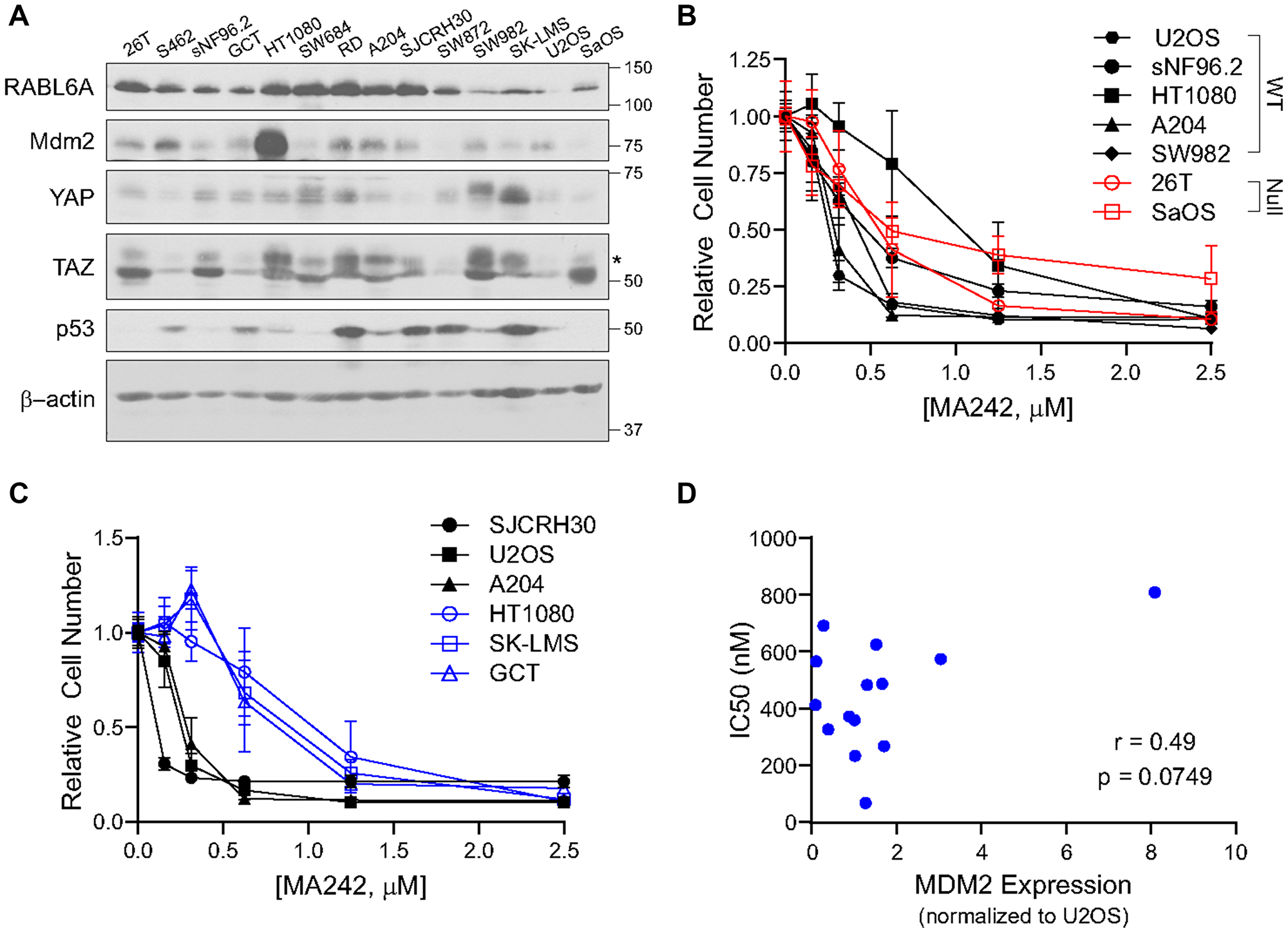 MDM2 can be targeted sarcoma cell lines independent of p53 status