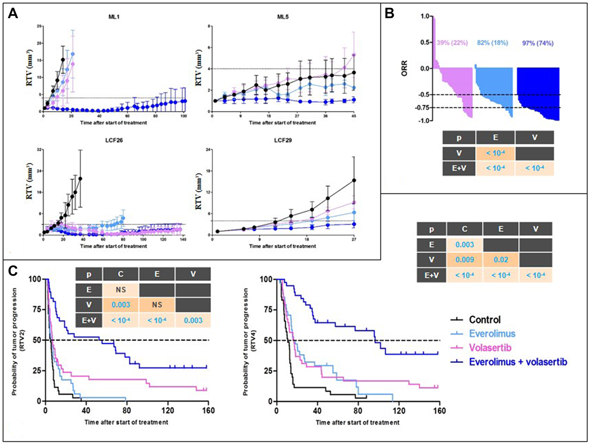In vivo efficacy of RAD001 (everolimus) + volasertib in NSCLC PDXs