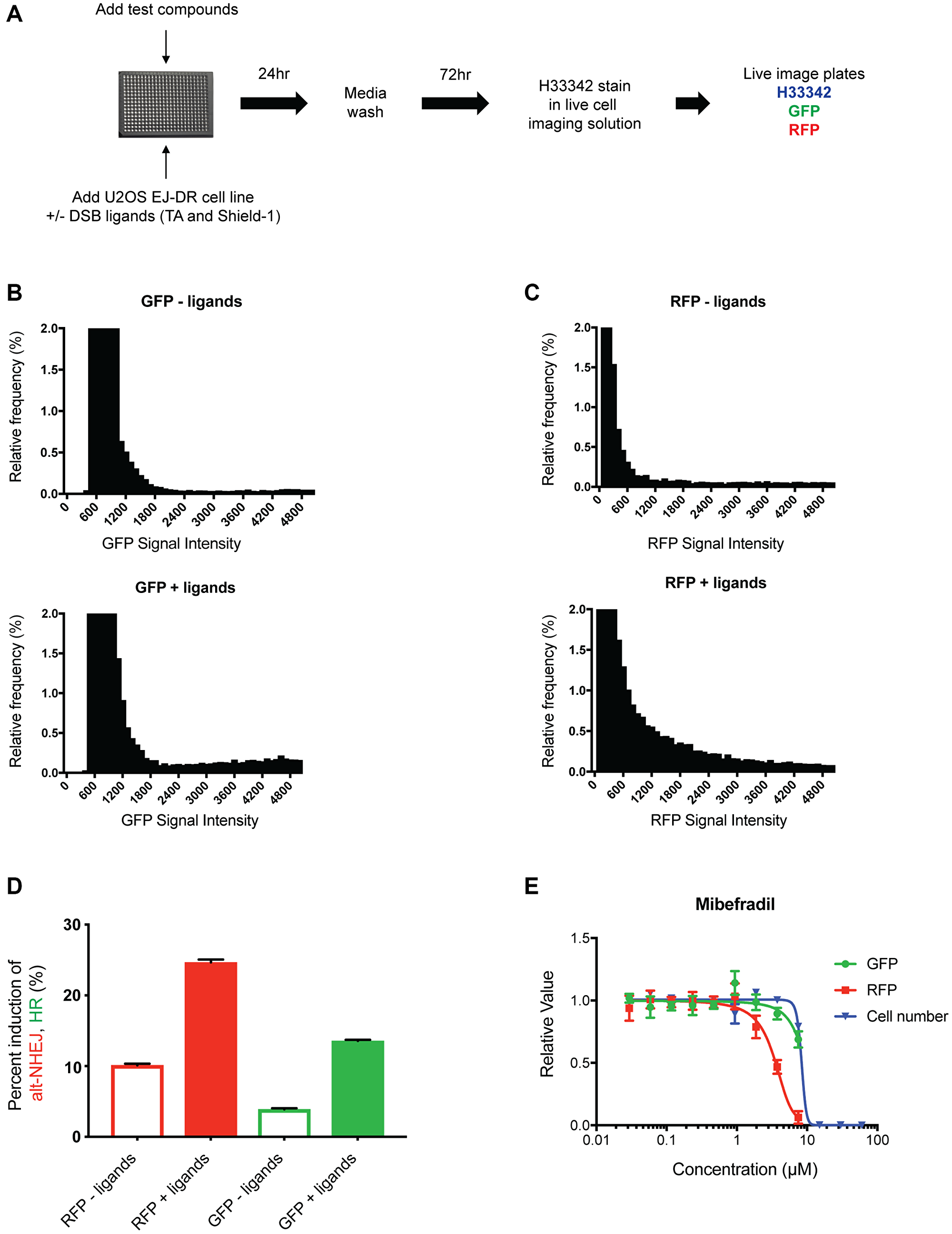Development of the 384-well live imaging-based EJ-DR assay