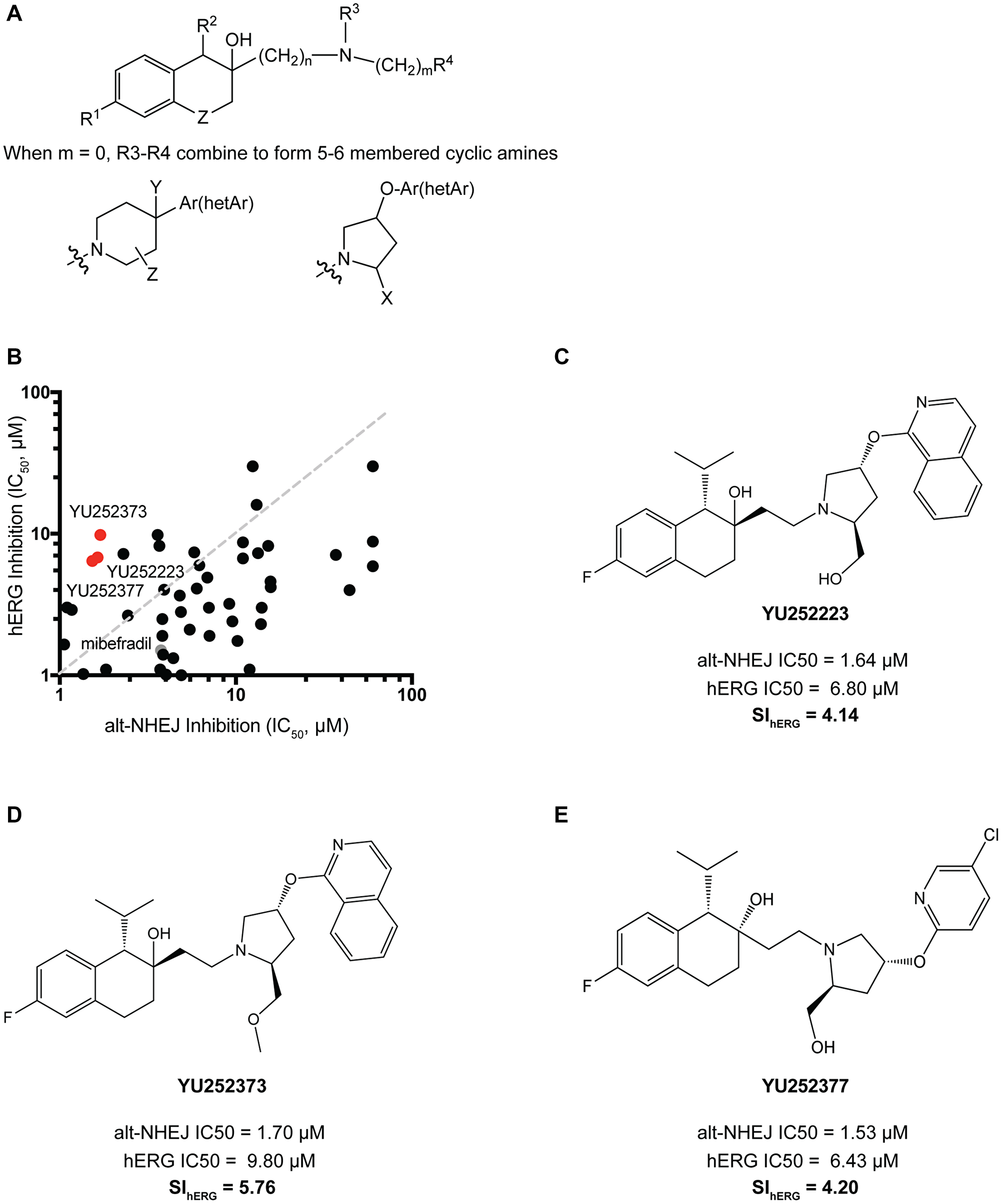 Synthesis and validation of mibefradil analogues with reduced hERG activity