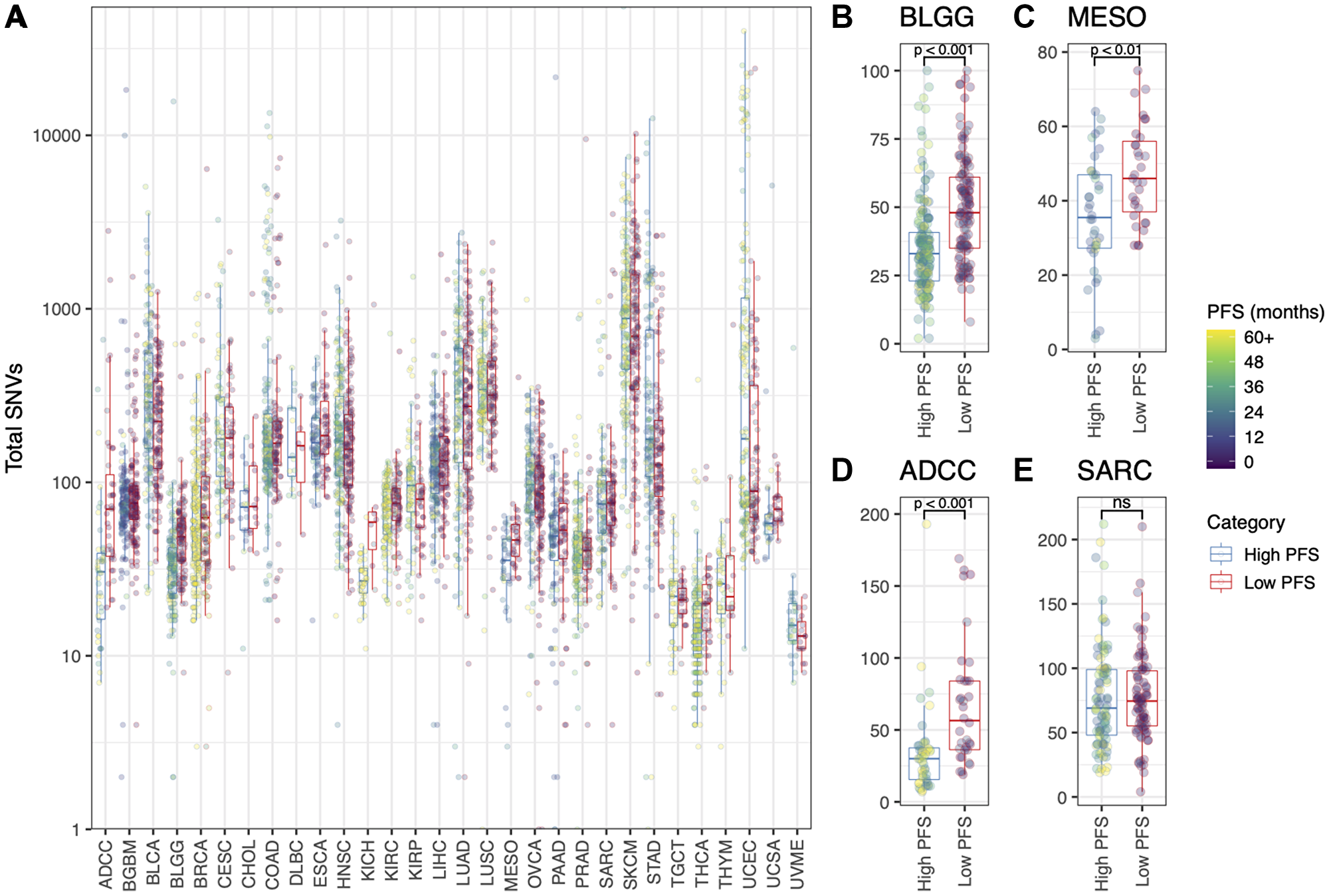 (A) Total number of SNVs (log10 scale) for each patient, grouped by cancer type and colored by Progression Free Survival (months). “High PFS” = above the PFS thresholds listed for each cancer type in Table 1; “Low PFS” = below the PFS threshold listed in Table 1. Also shown is the total number of SNVs (linear scale) for (B) the BLGG cohort, (C) the MESO cohort, (D) the ADCC cohort, and (E) the SARC cohort. T-tests were used to statistically evaluate the difference between the “High PFS” and “Low PFS” patient groups (B, C, D, E; *p $!--ESC