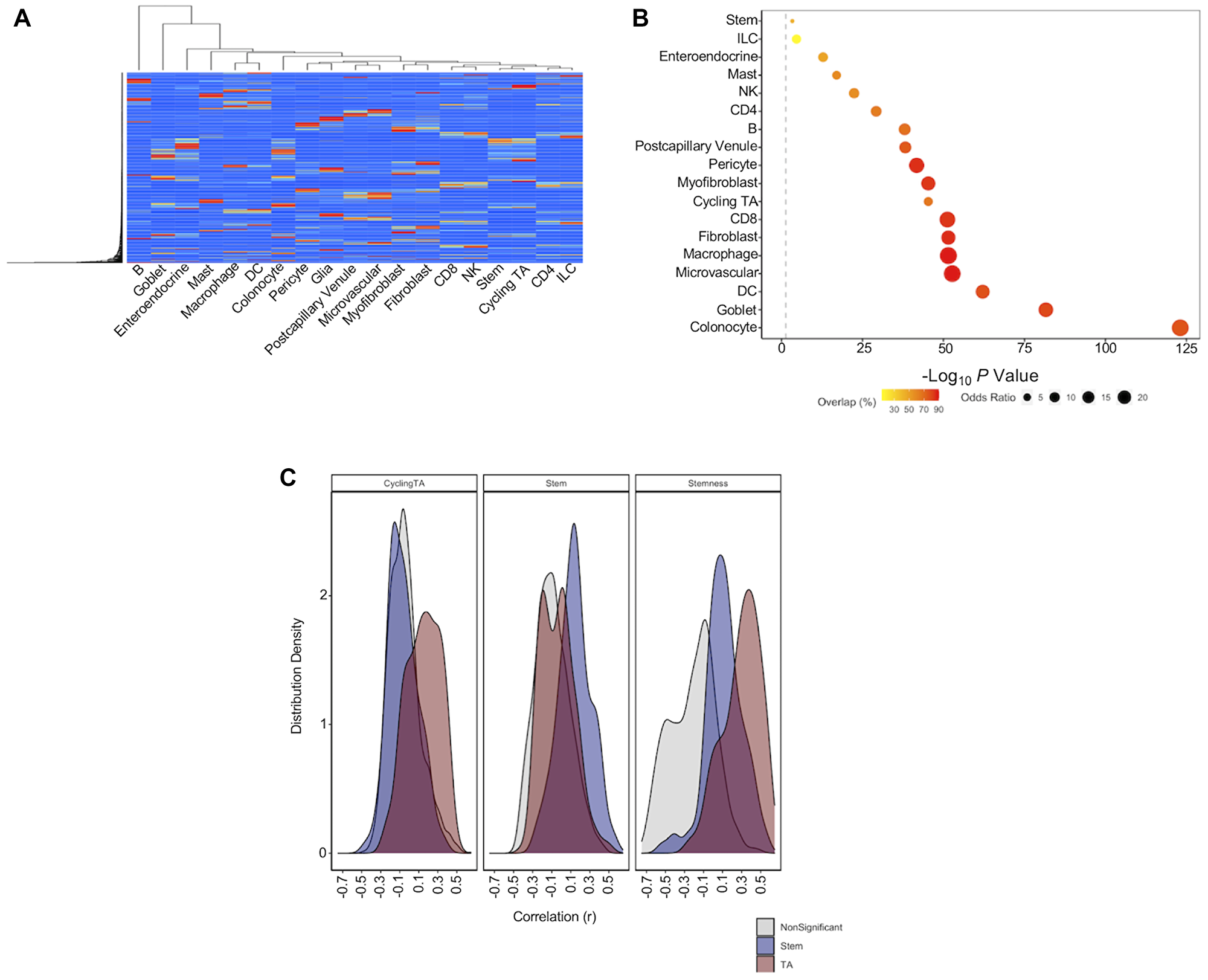 Single cell deconvolution of bulk RNA-seq datasets