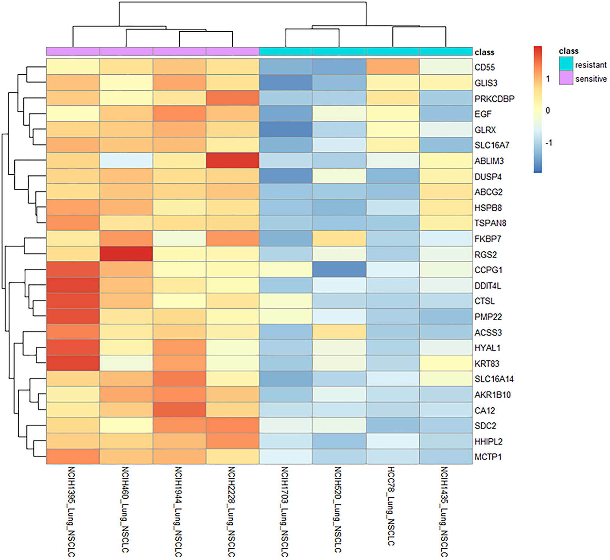 Gene correlation and expression pattern analyses across differentially sensitive NSCLC cell lines highlights key processes potentially linked with LP-184 activity