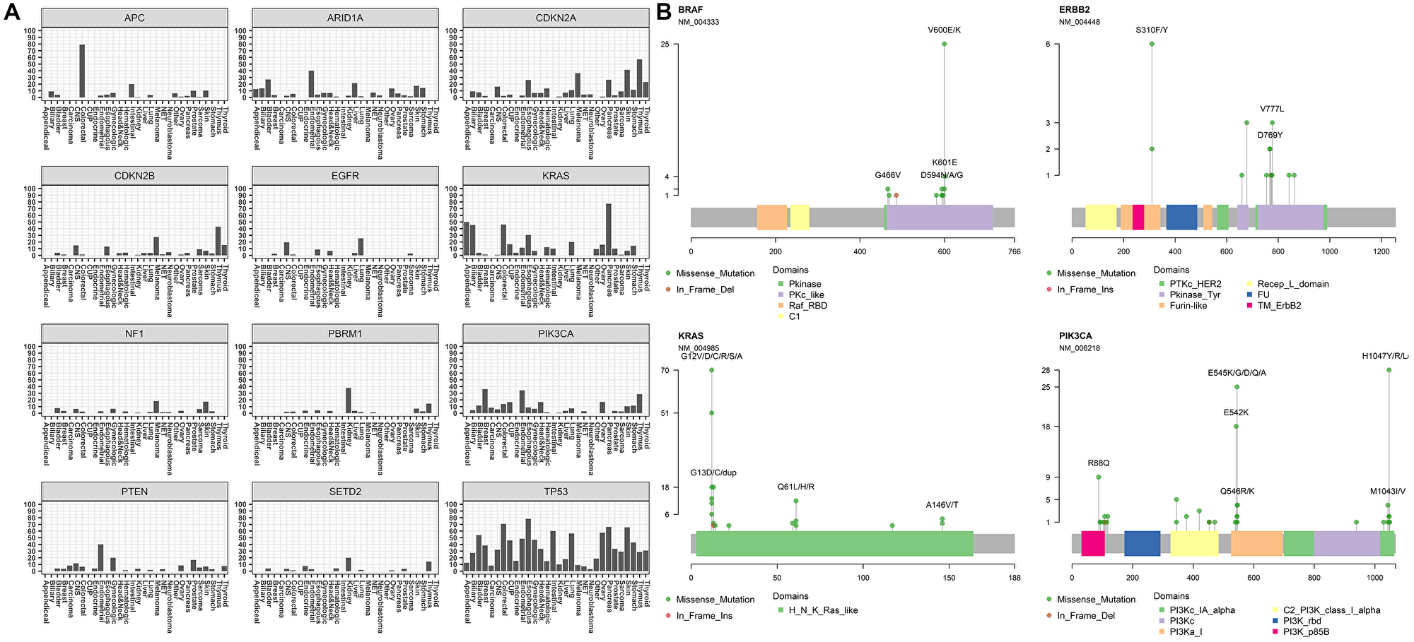 Mutation profiles of clinically actionable genes in GEM ExTra