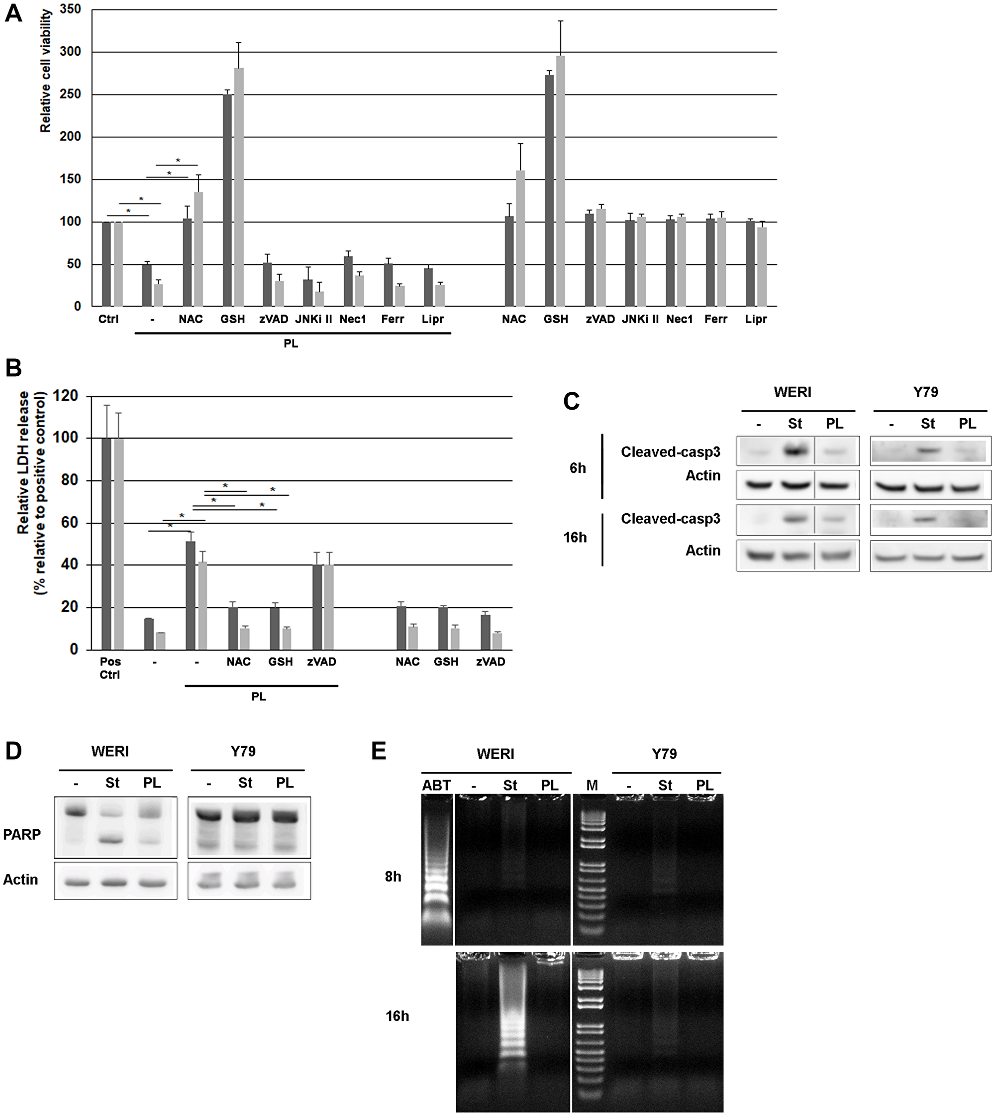 PL induces cell death in WERI-Rb and Y79 retinoblastoma cells