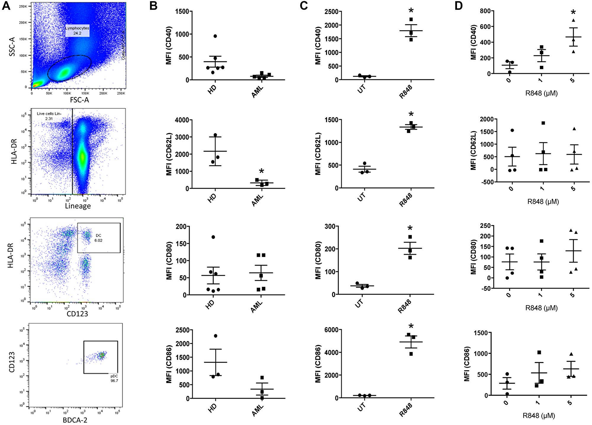 TLR7/8 agonists reverse the tolerogenic phenotype of AML-patient pDCs