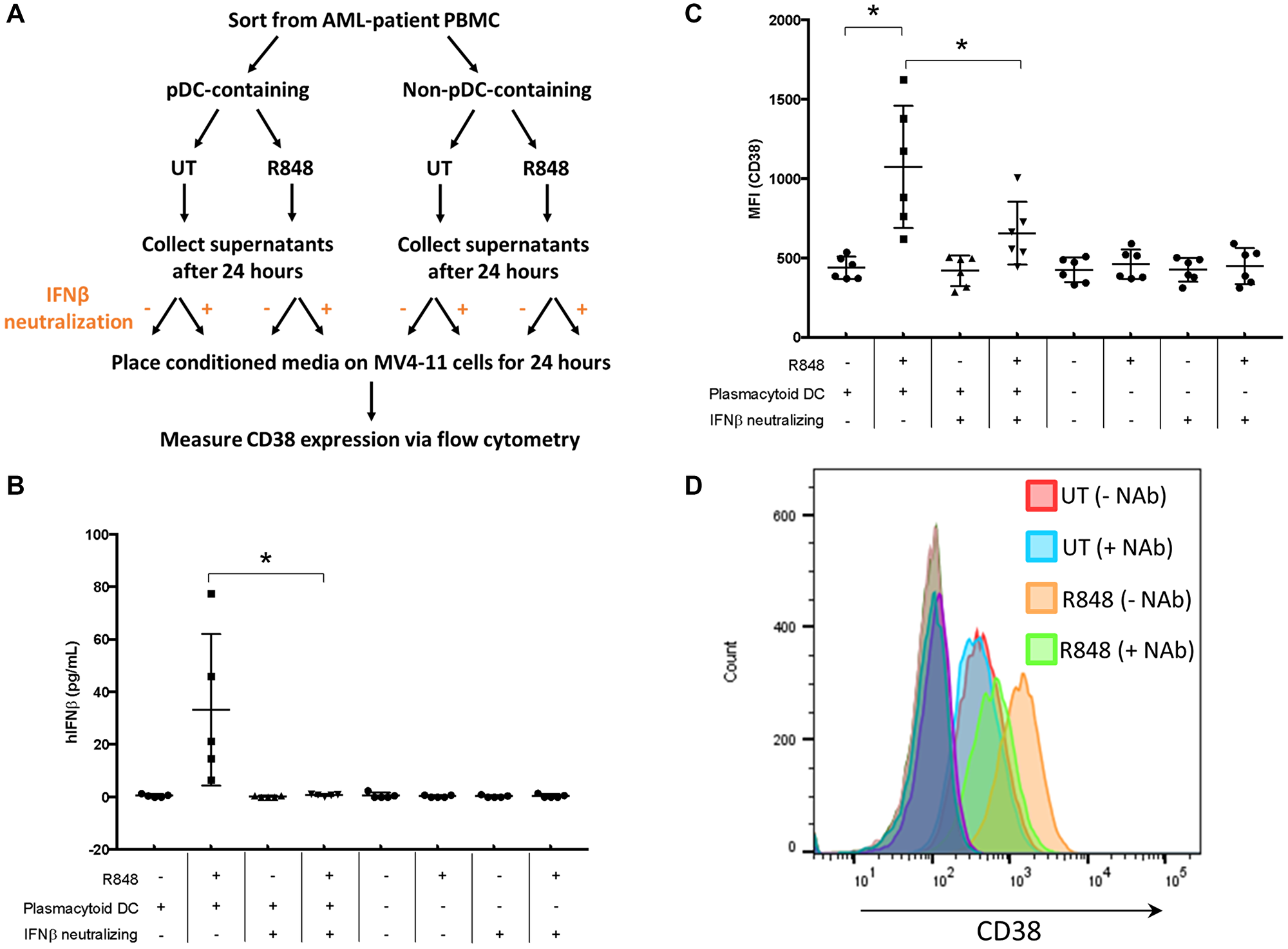 pDC-dependent IFNβ production enhances CD38 expression on AML cells