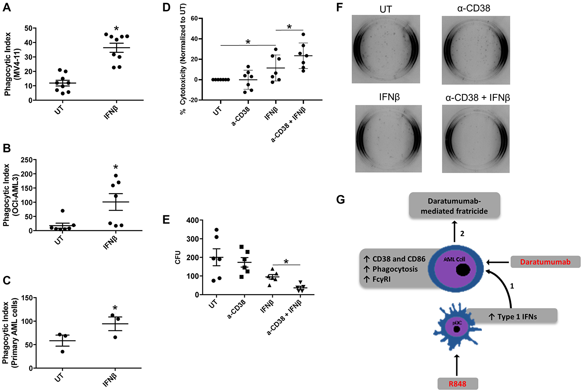 IFNβ-induced AML-cell cytotoxicity is enhanced with anti-CD38 antibody daratumumab